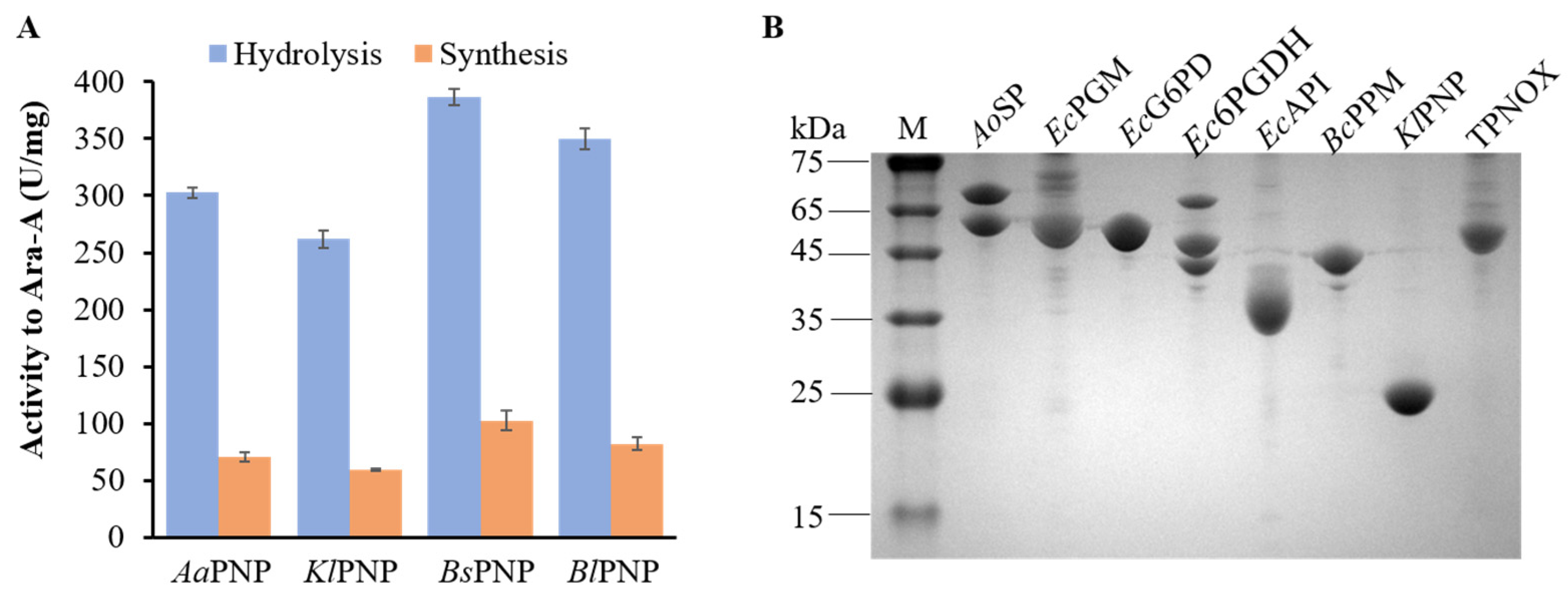 Biomolecules 14 01107 g002