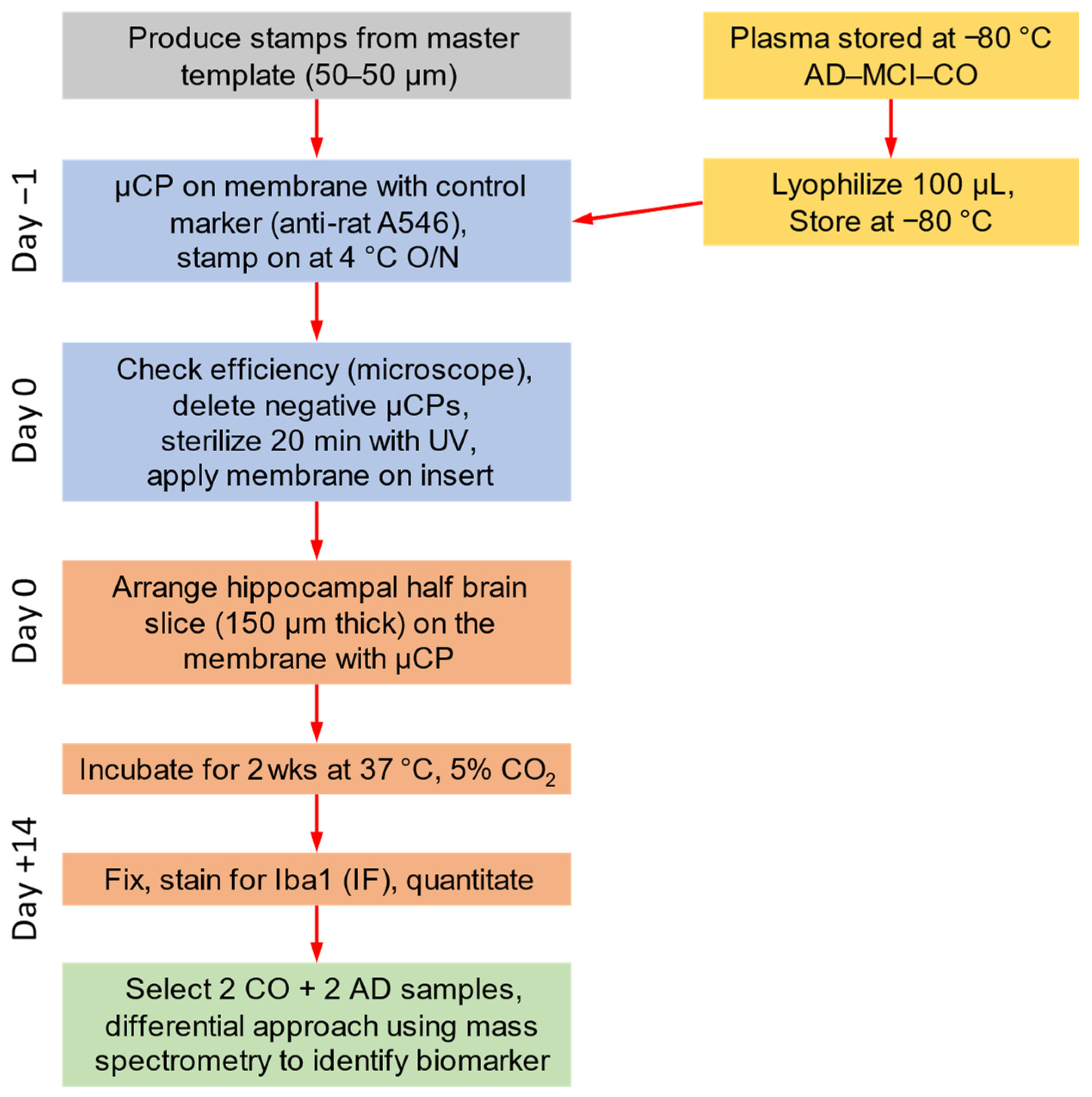 Biomolecules 14 01109 g001 Biomolecules 14 01109 g001