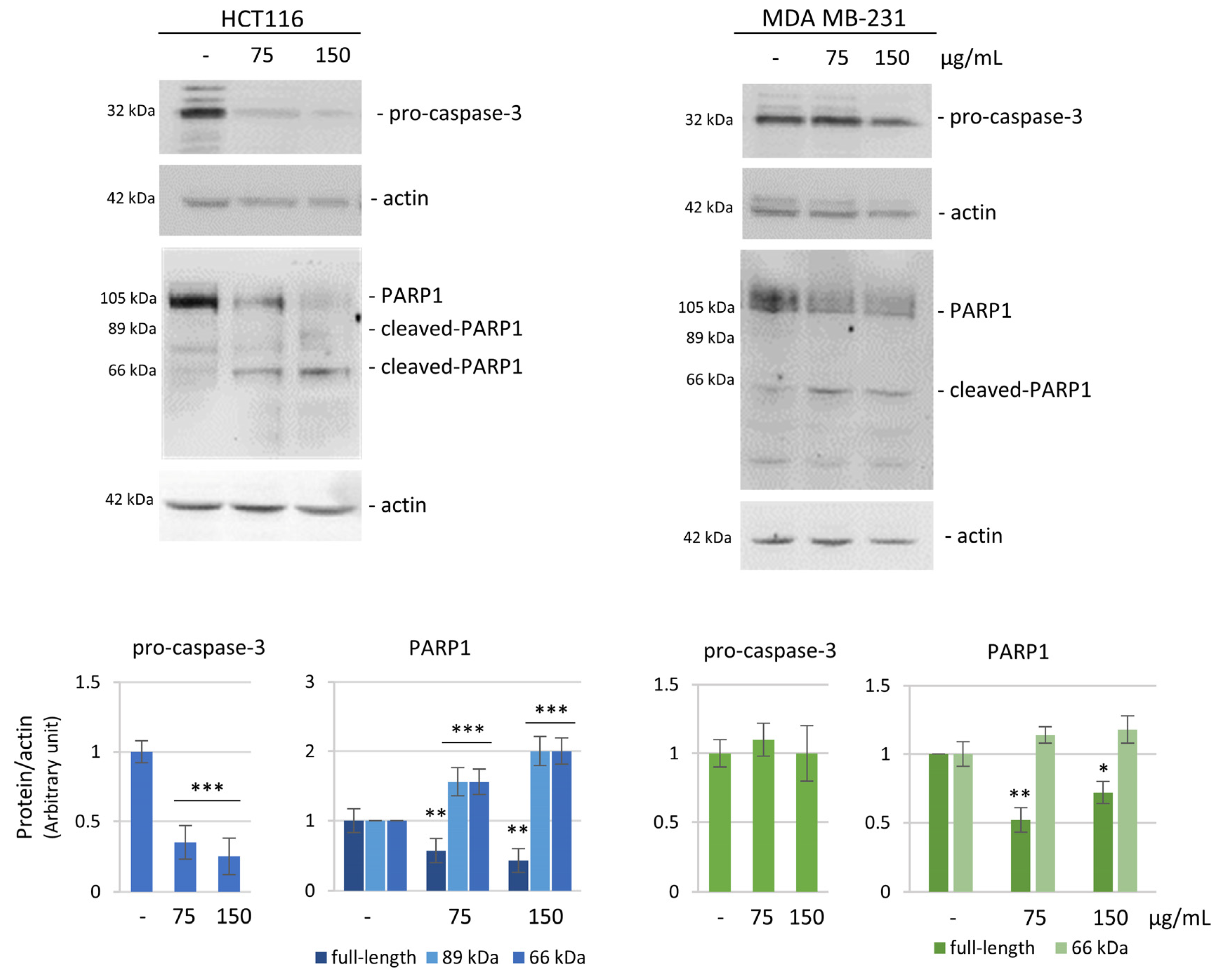 Biomolecules 14 01111 g003