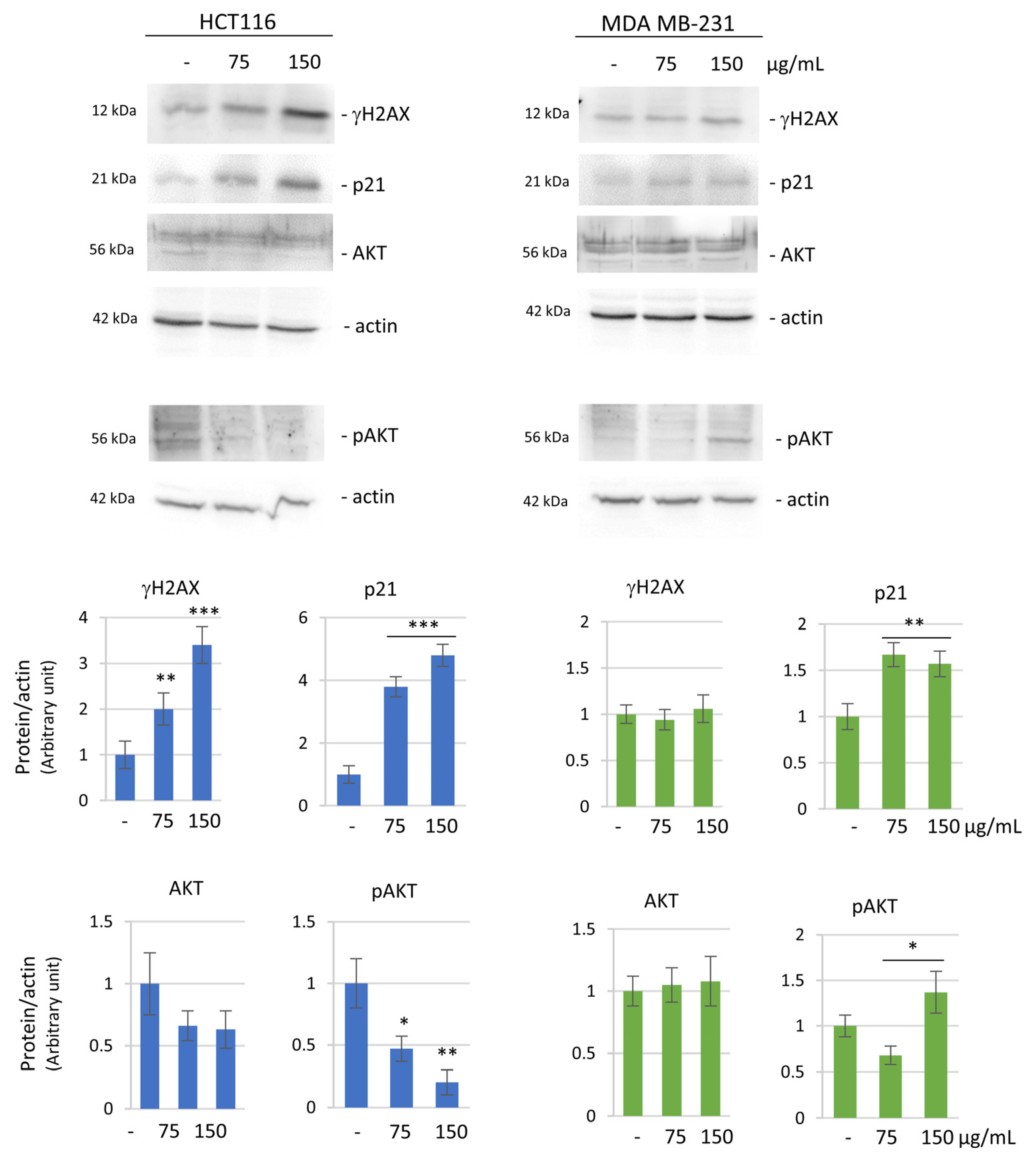 Biomolecules 14 01111 g004