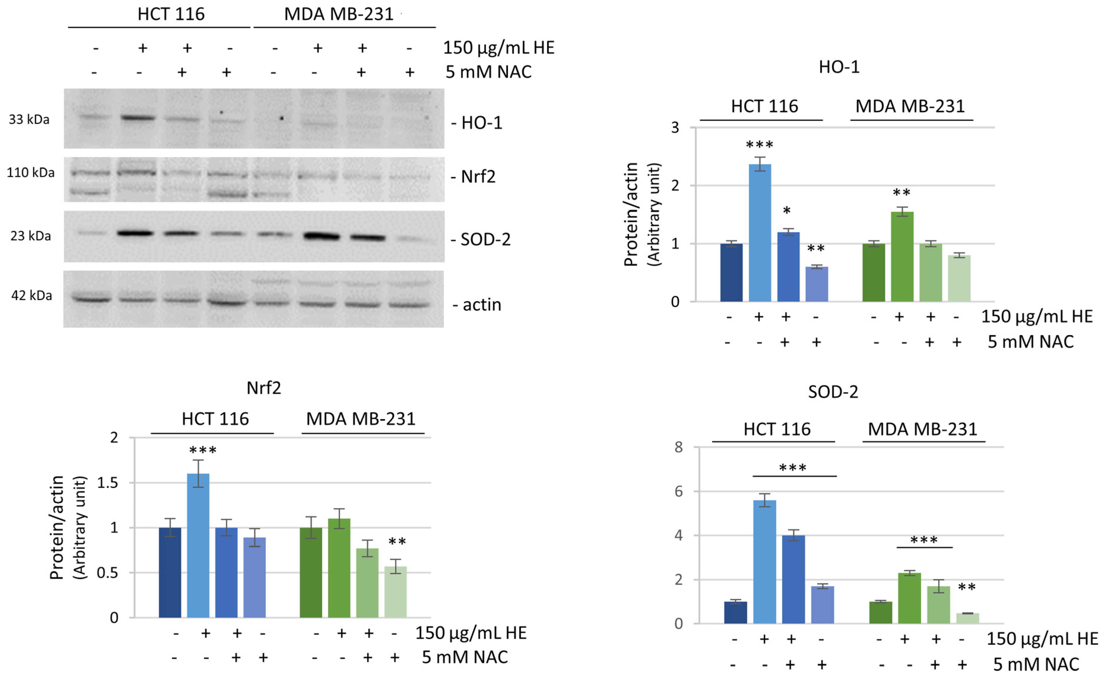 Biomolecules 14 01111 g006
