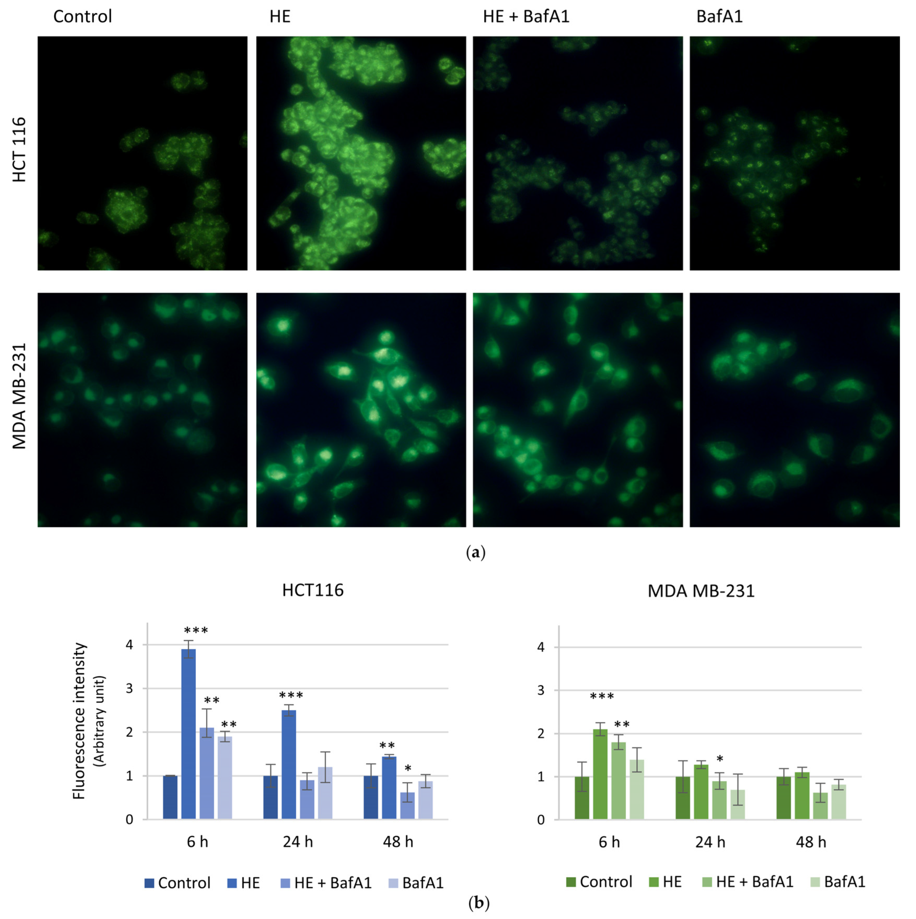 Biomolecules 14 01111 g007
