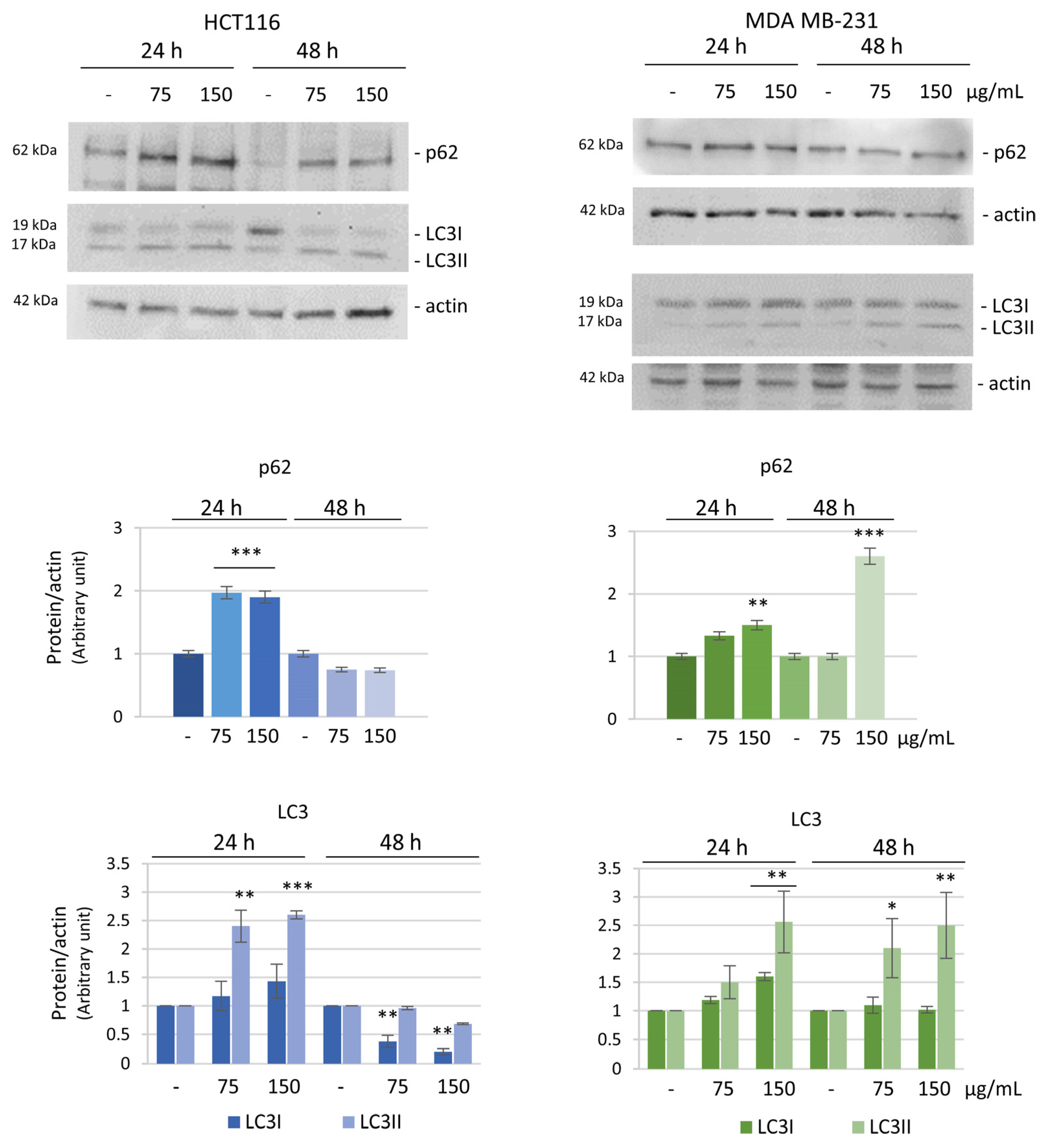 Biomolecules 14 01111 g008