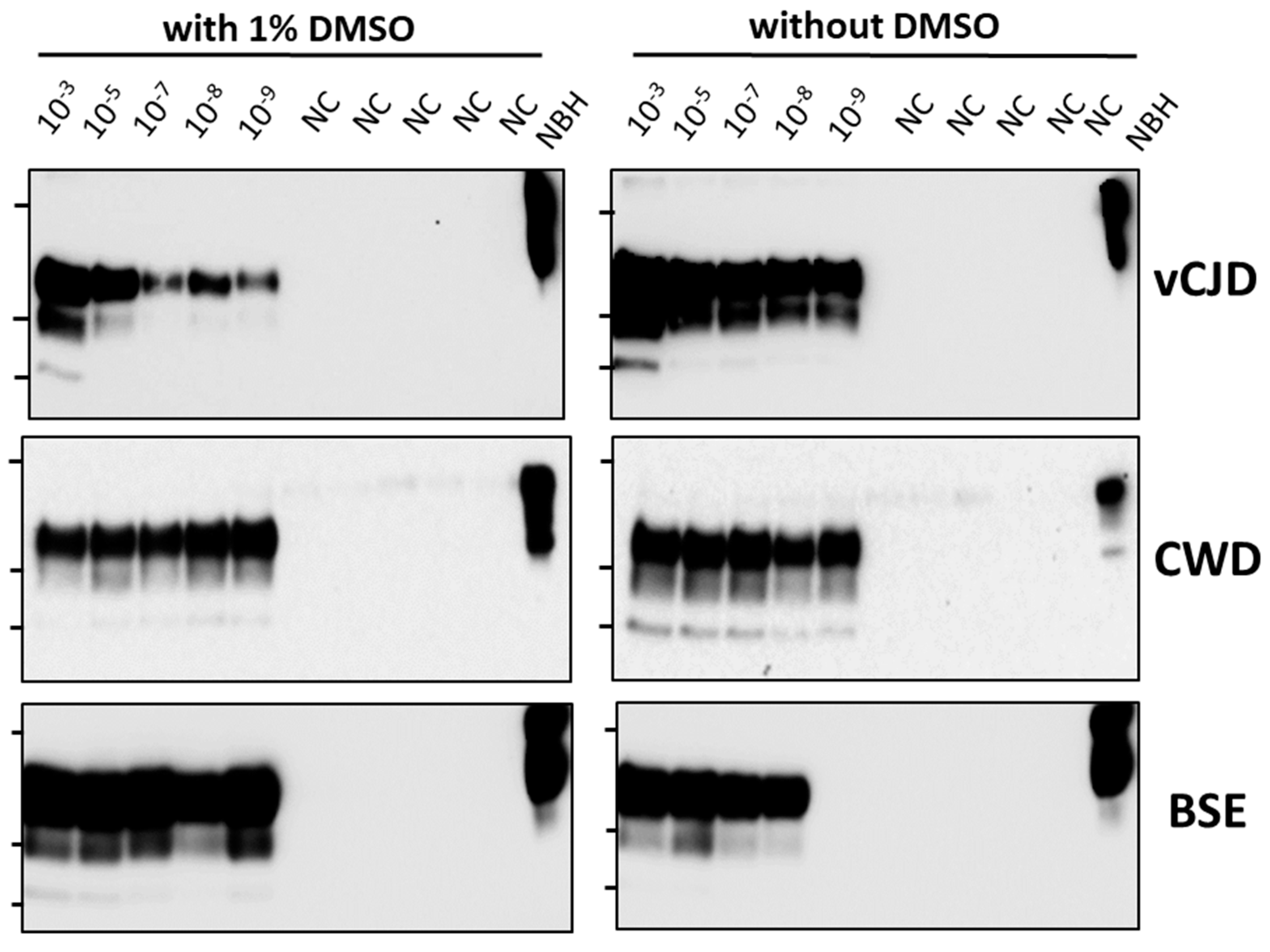 Biomolecules 14 01113 g001