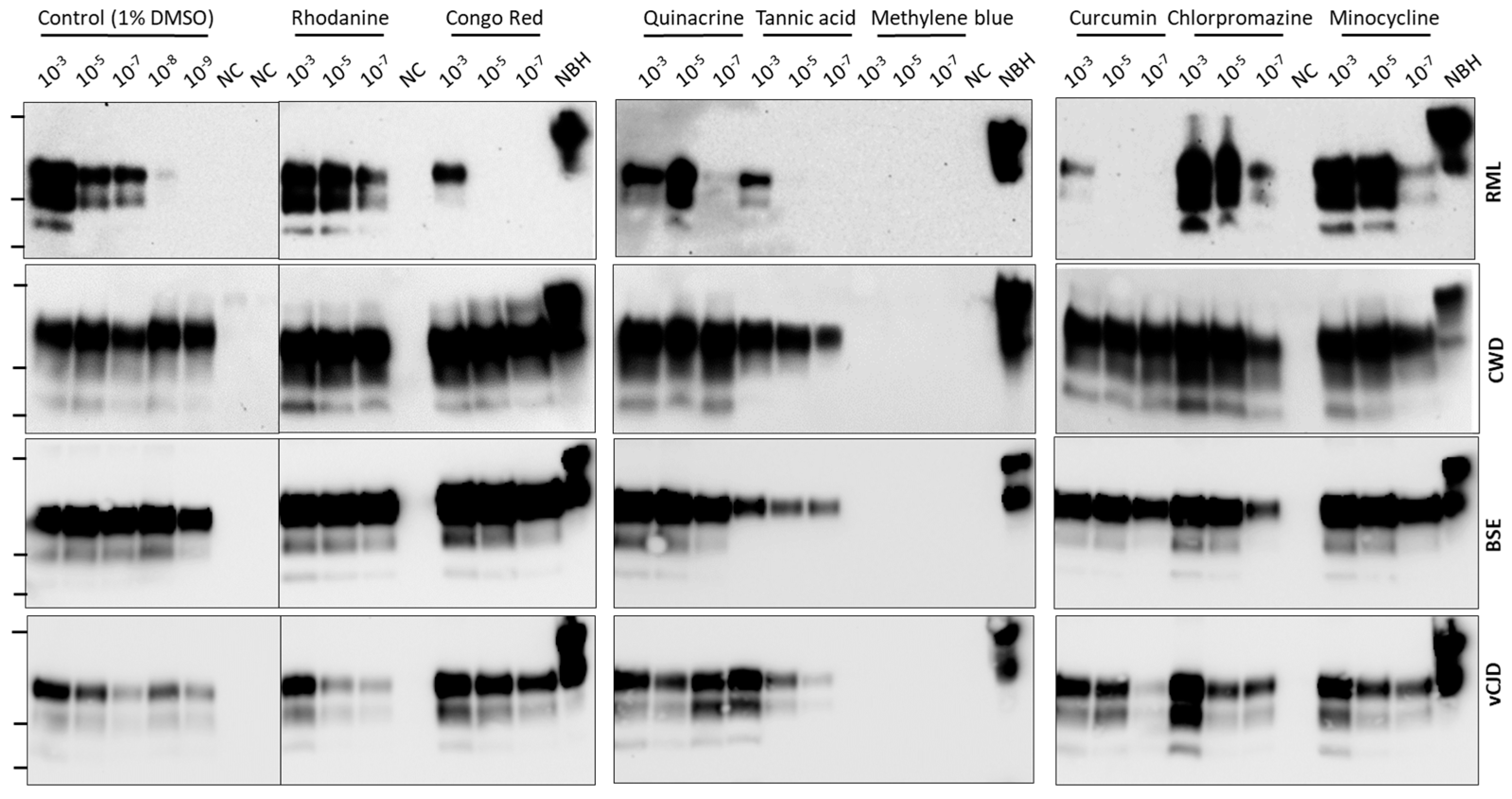 Biomolecules 14 01113 g002
