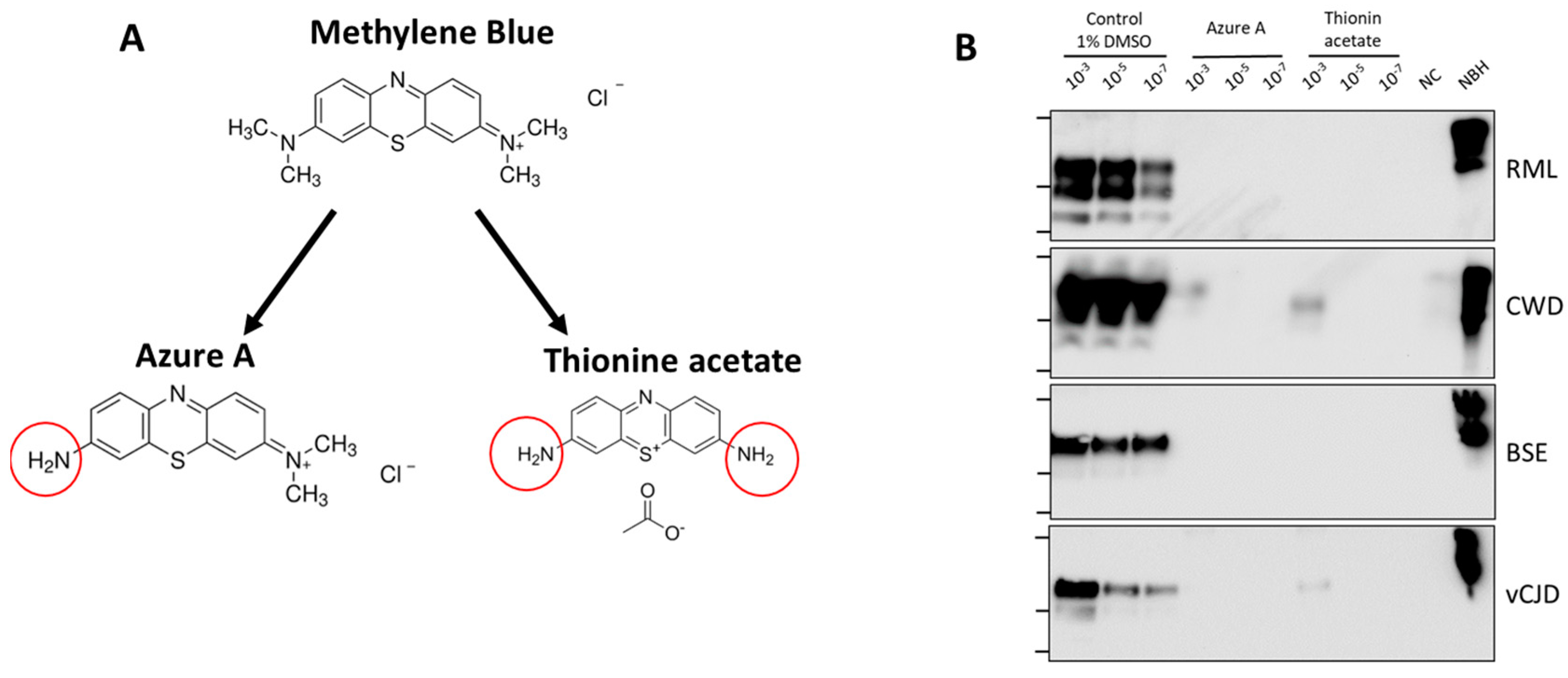 Biomolecules 14 01113 g004