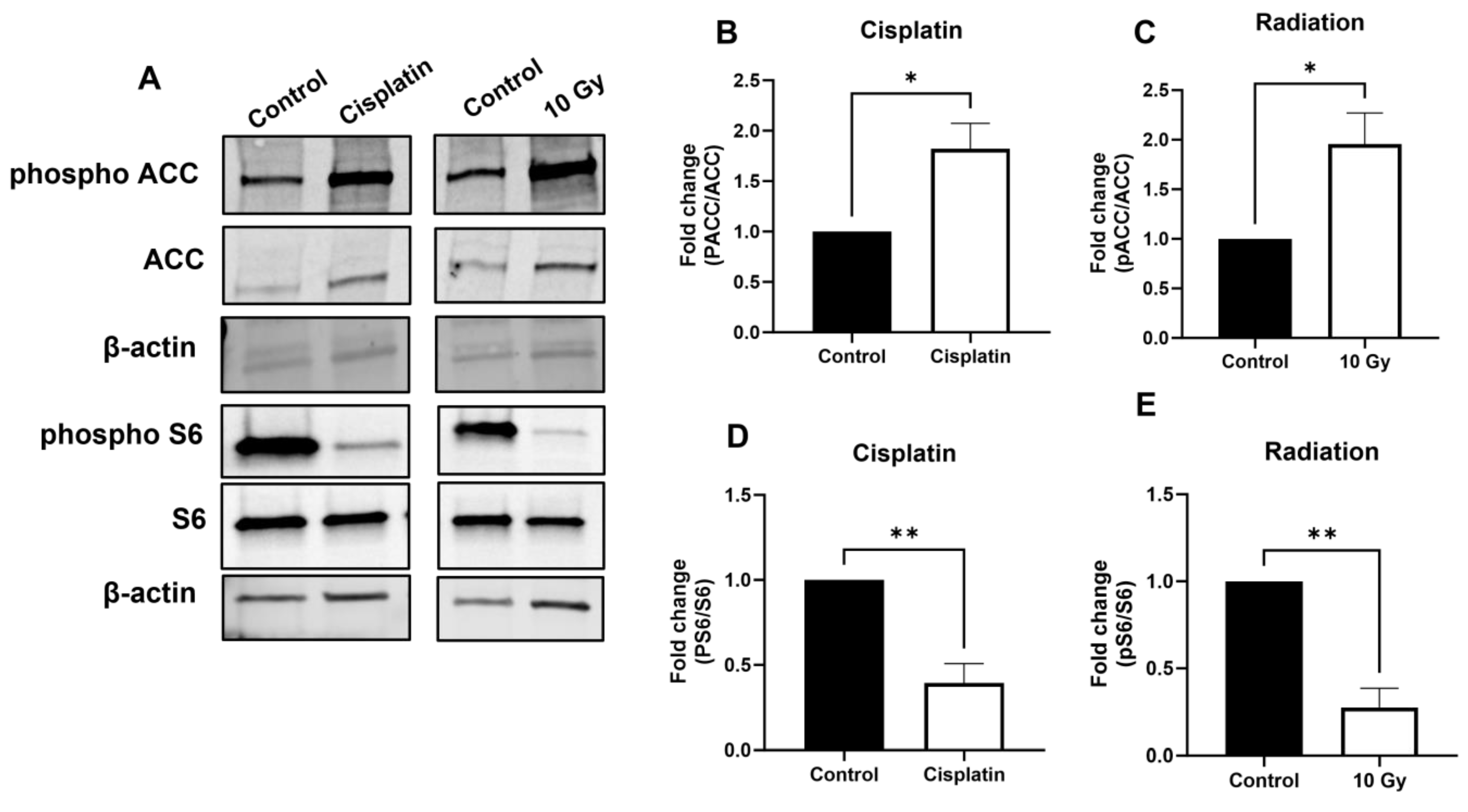 Biomolecules 14 01115 g004