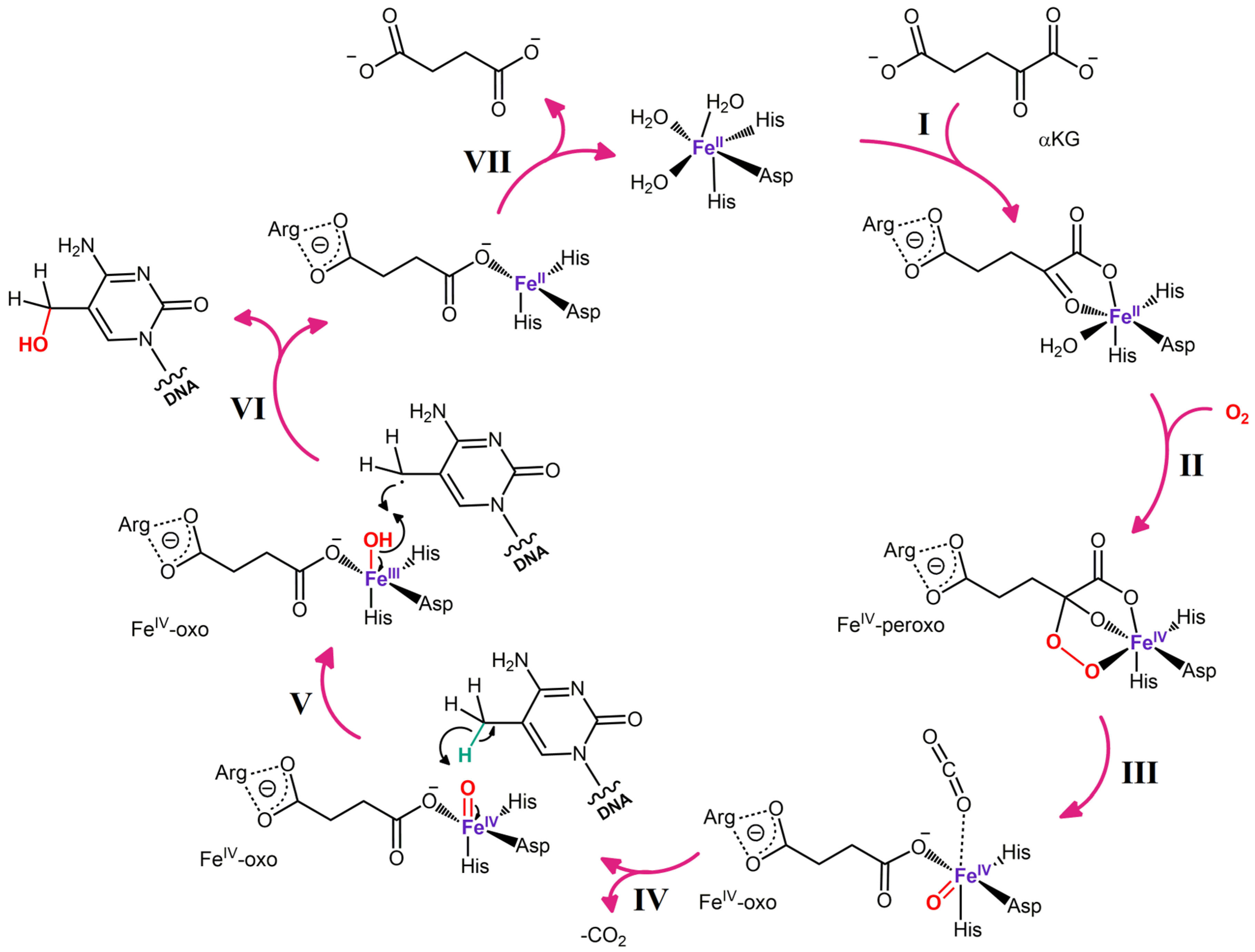 Biomolecules 14 01117 g003 Biomolecules 14 01117 g003