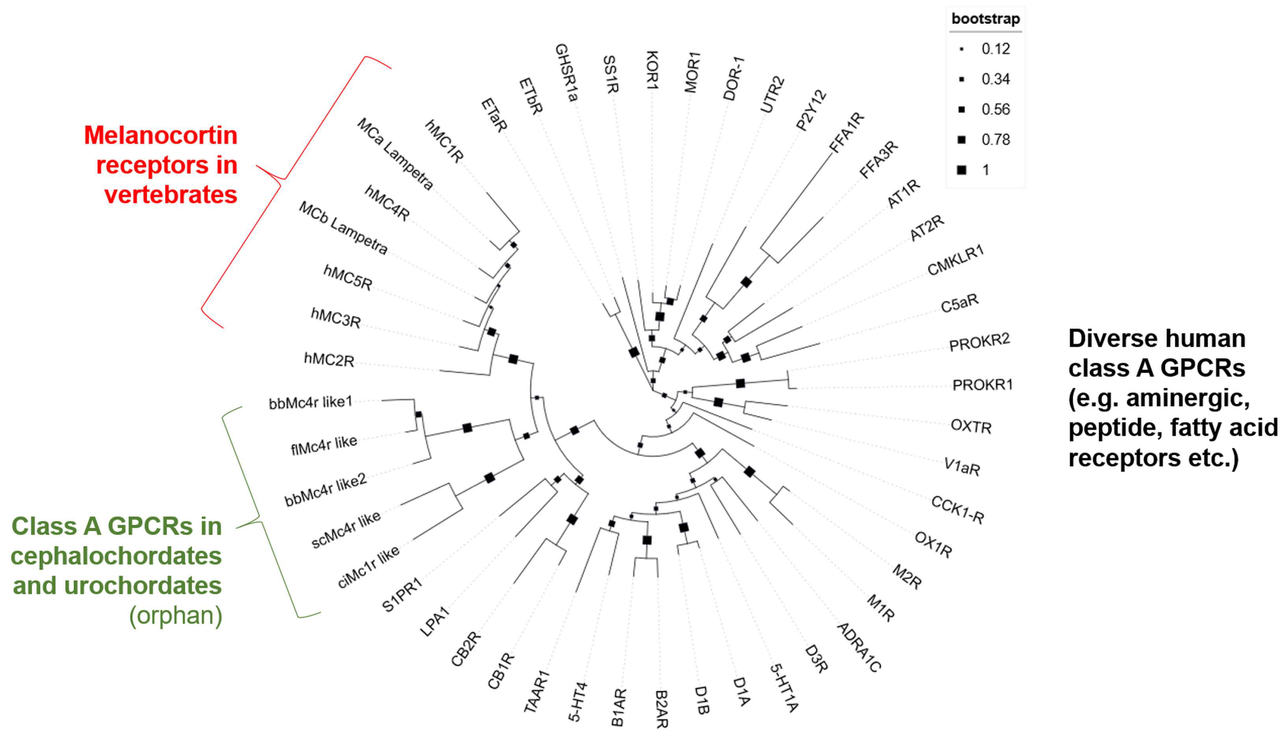 Biomolecules 14 01120 g001 Biomolecules 14 01120 g001