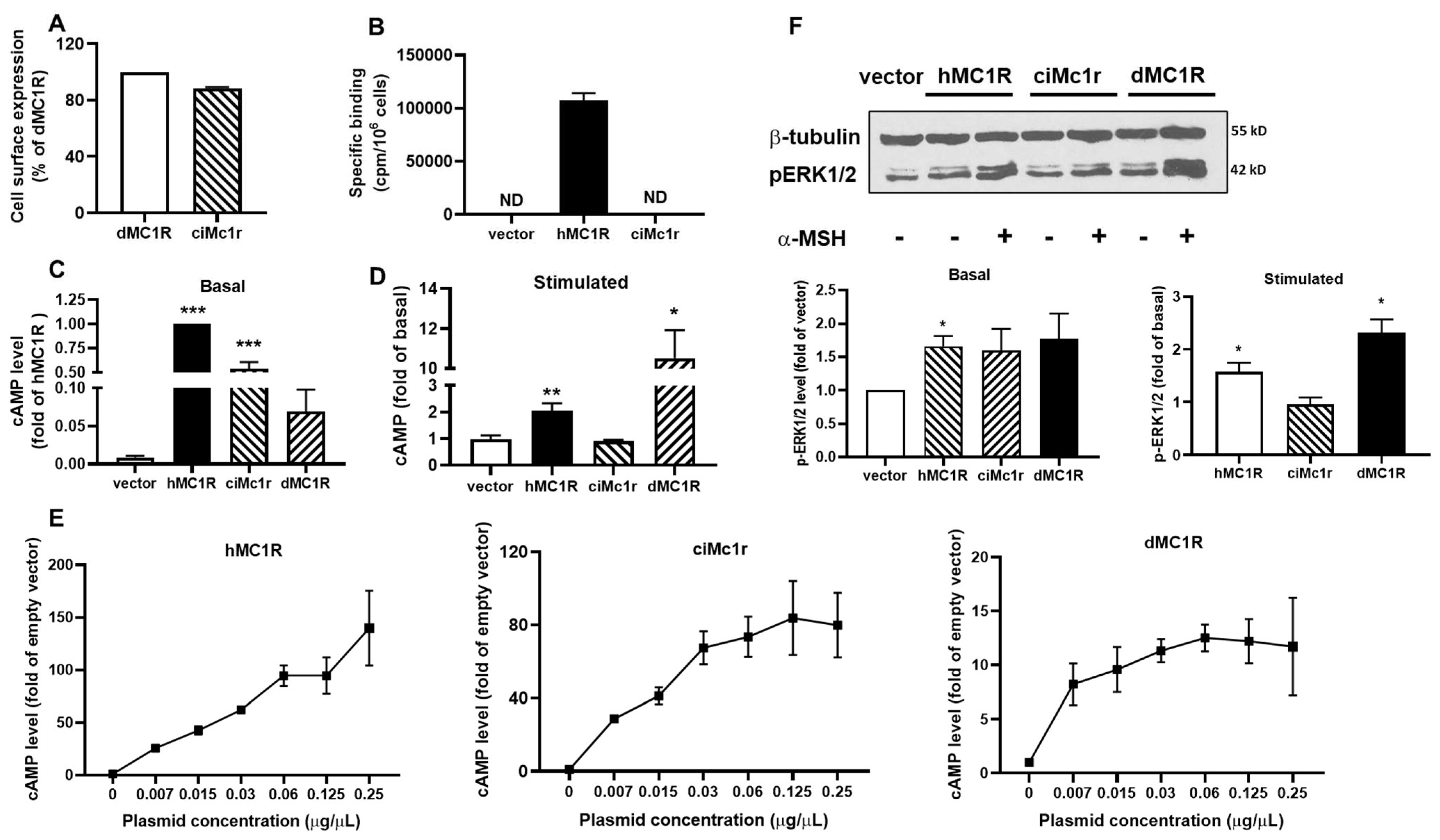Biomolecules 14 01120 g008 Biomolecules 14 01120 g008