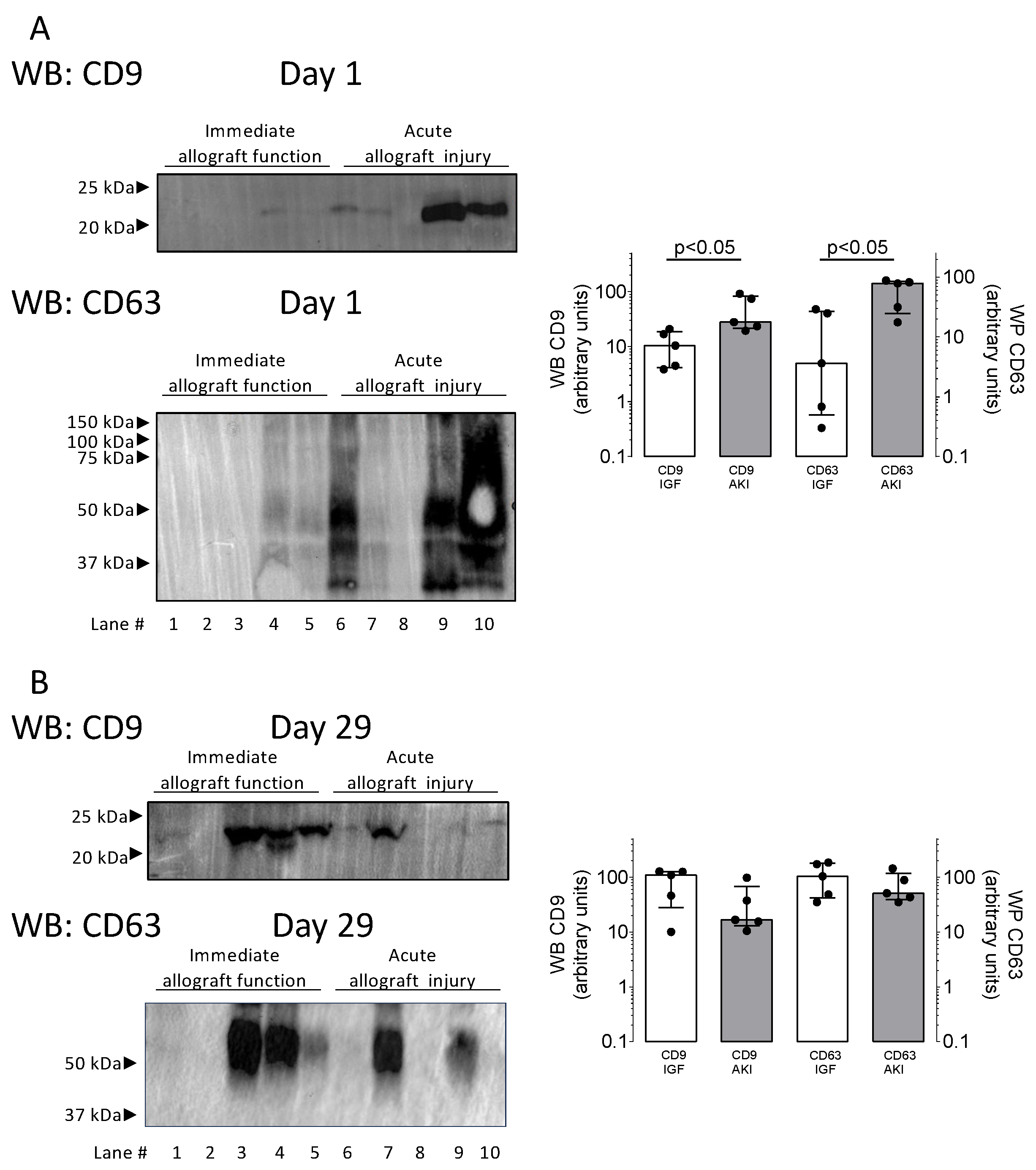 Biomolecules 14 01124 g002