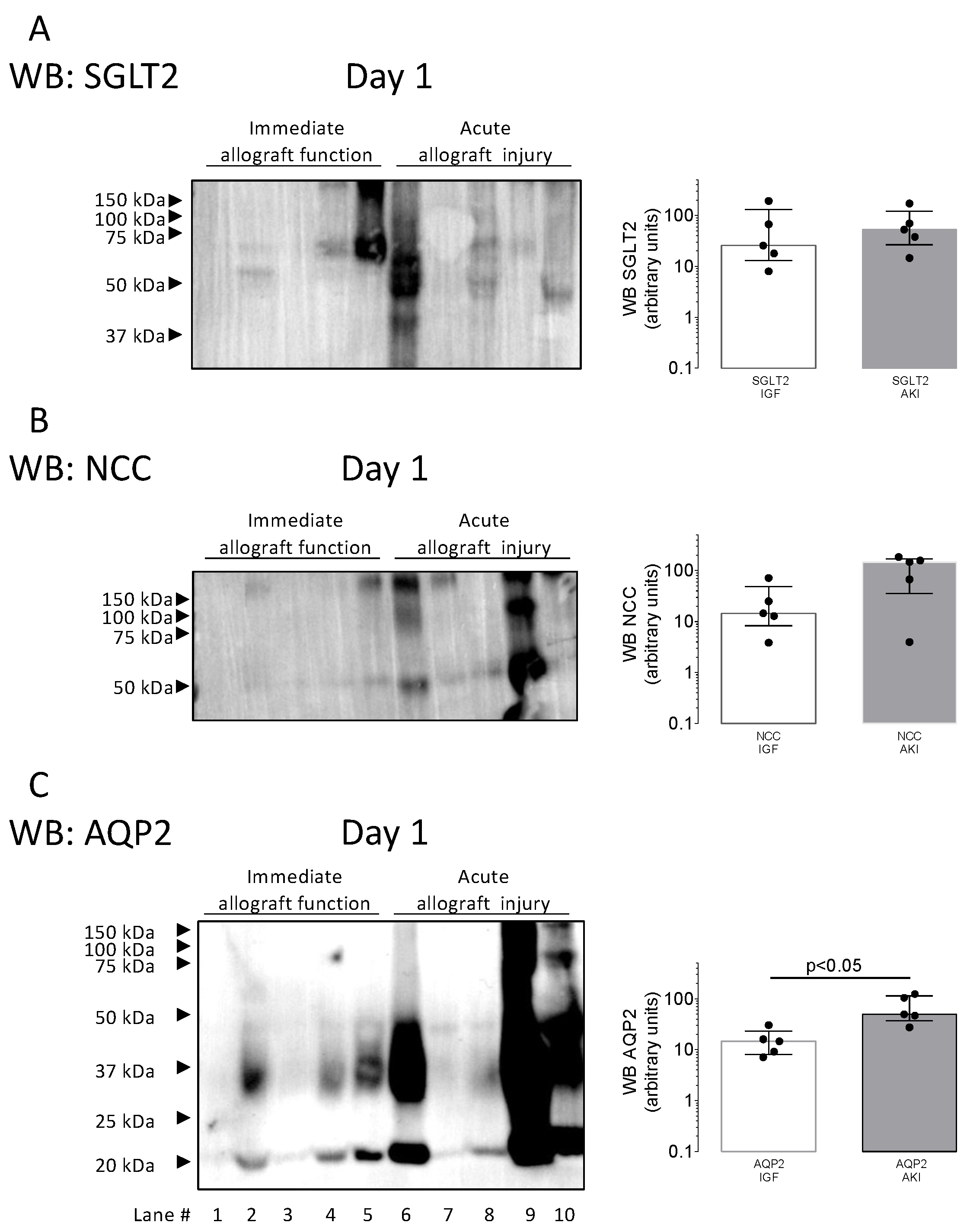 Biomolecules 14 01124 g003