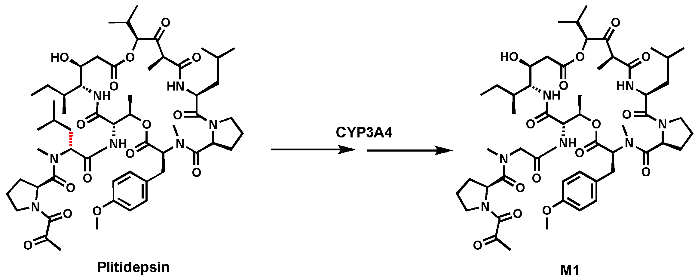 Biomolecules 14 01125 g001