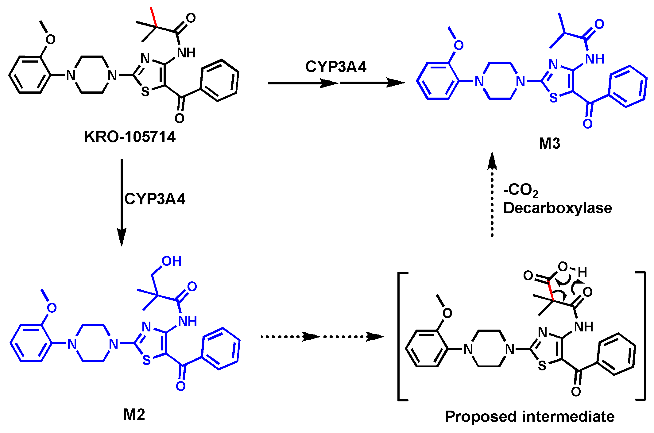 Biomolecules 14 01125 g002