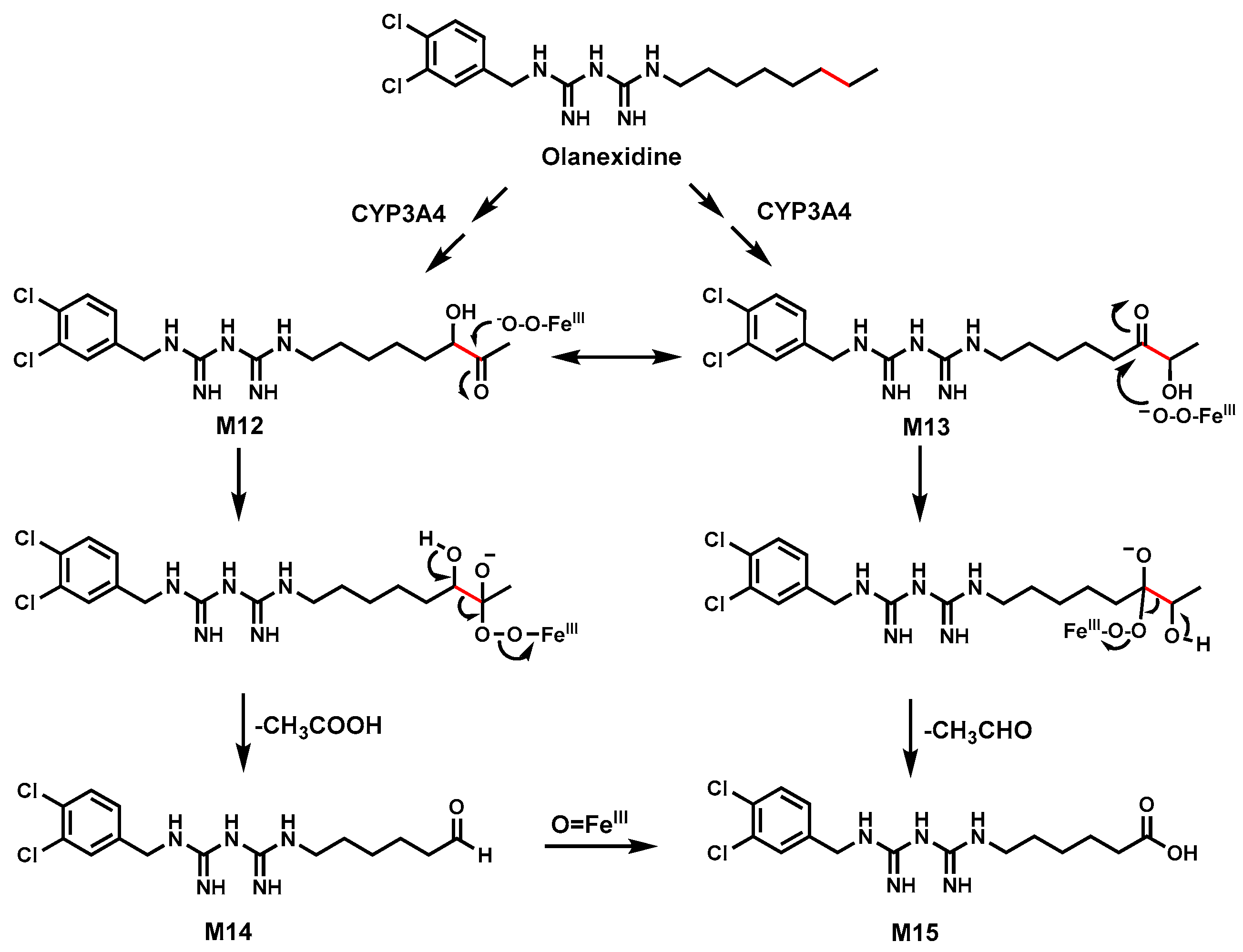 Biomolecules 14 01125 g006