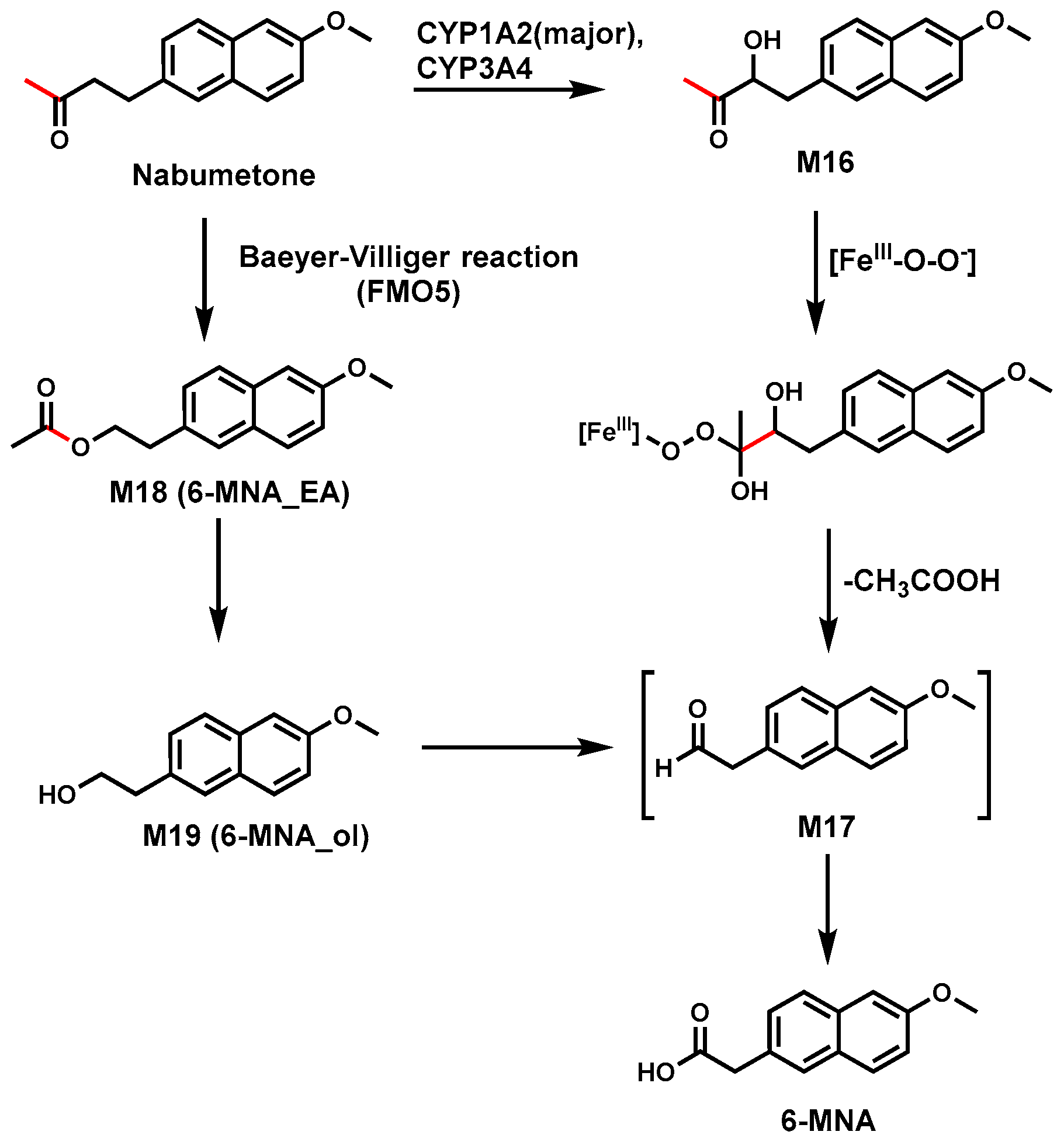 Biomolecules 14 01125 g007