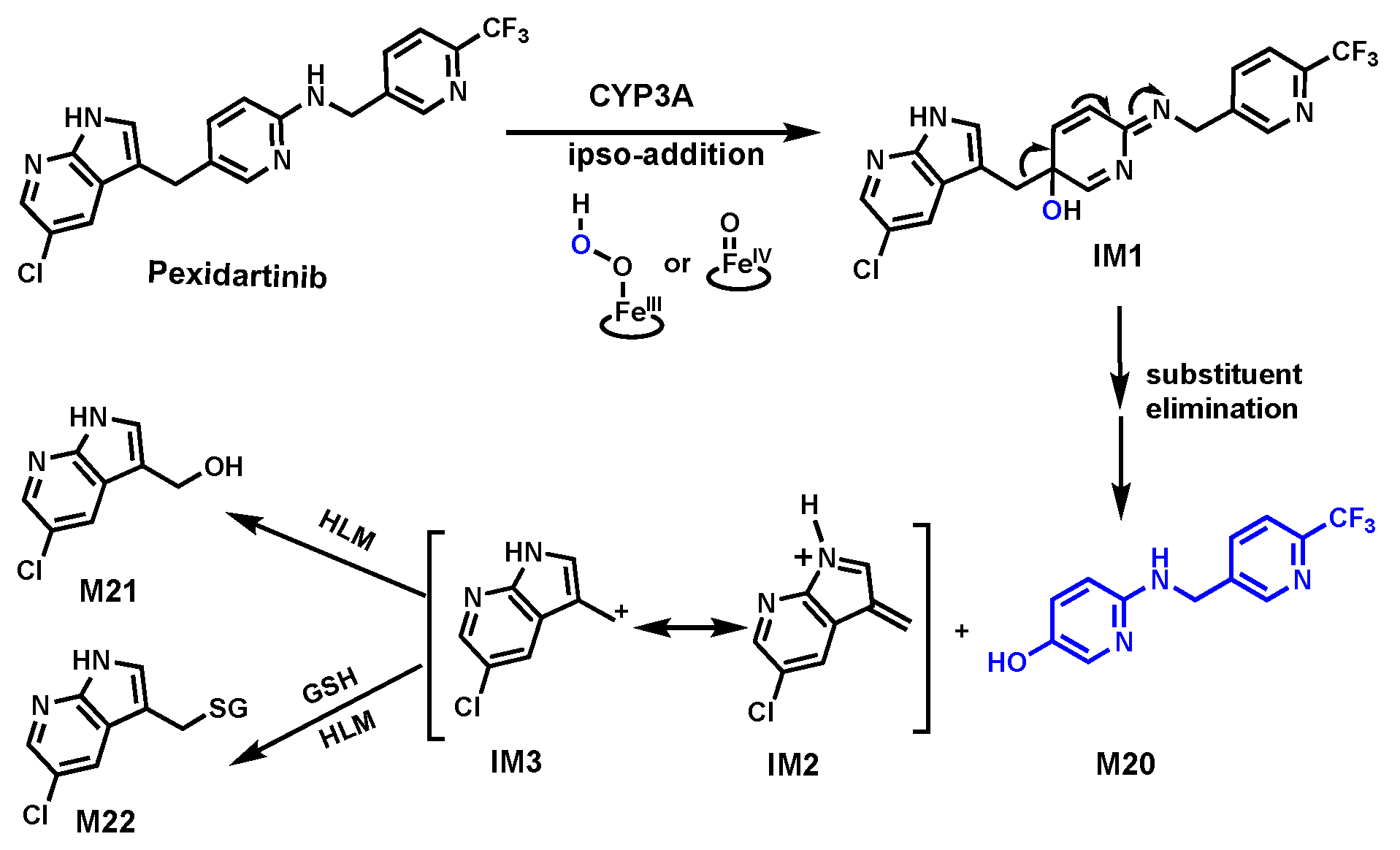 Biomolecules 14 01125 g008