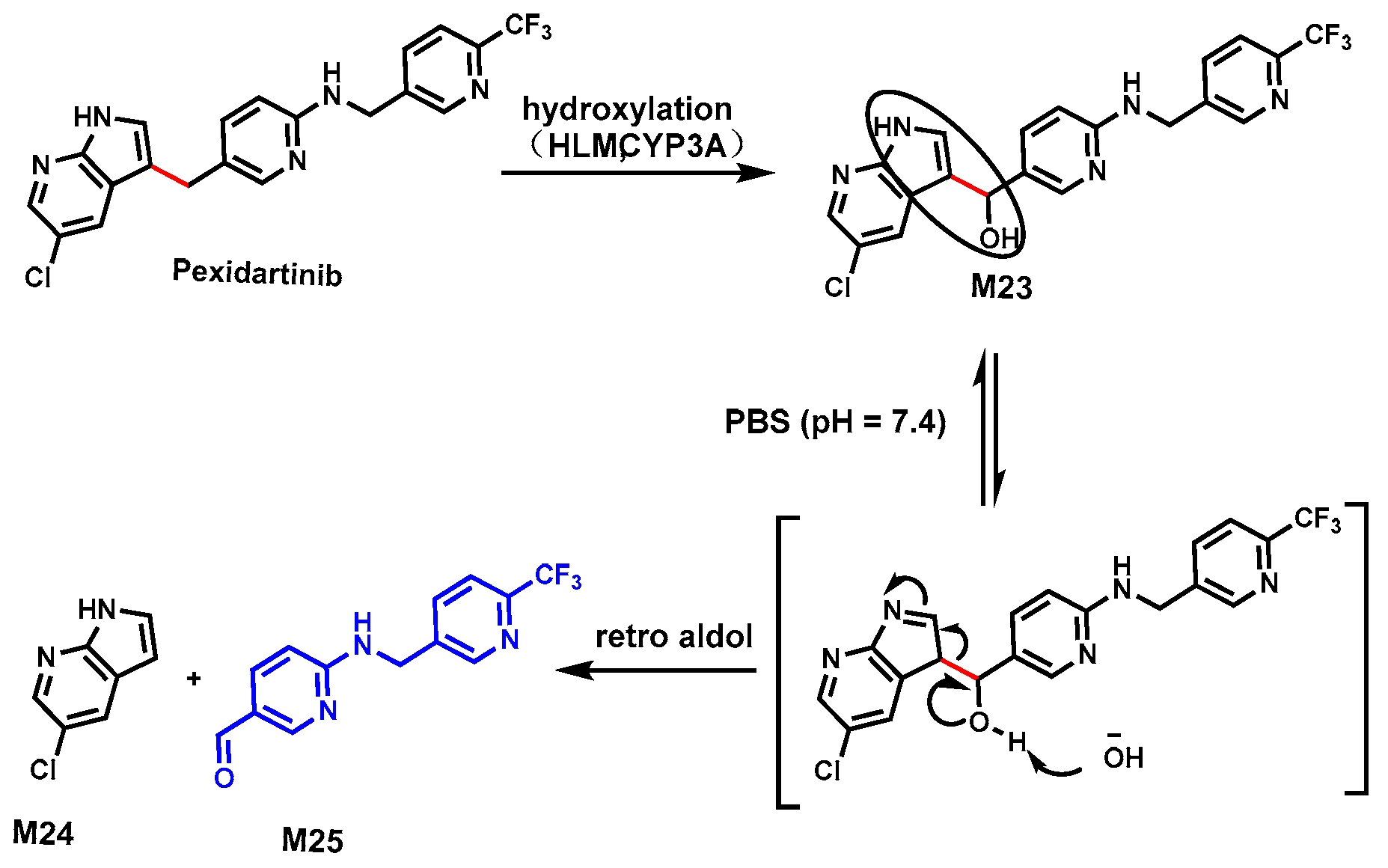 Biomolecules 14 01125 g009