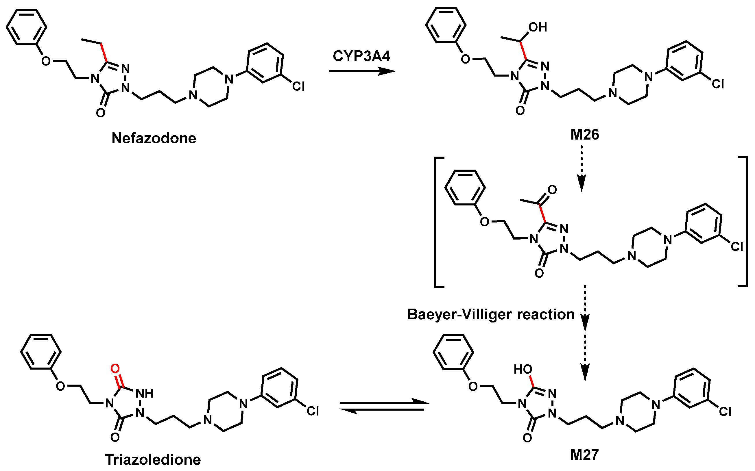 Biomolecules 14 01125 g010