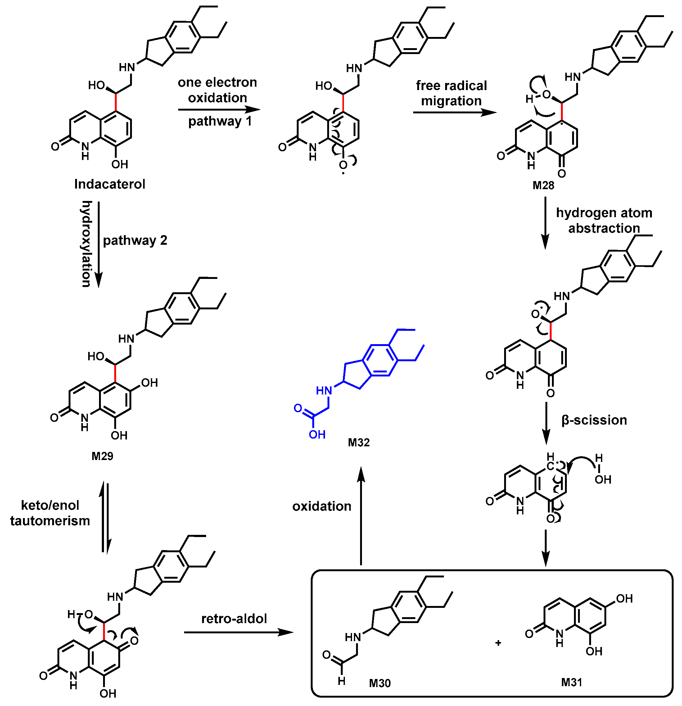 Biomolecules 14 01125 g011