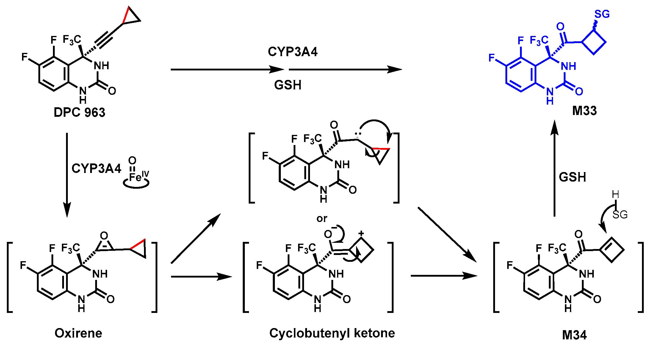 Biomolecules 14 01125 g012