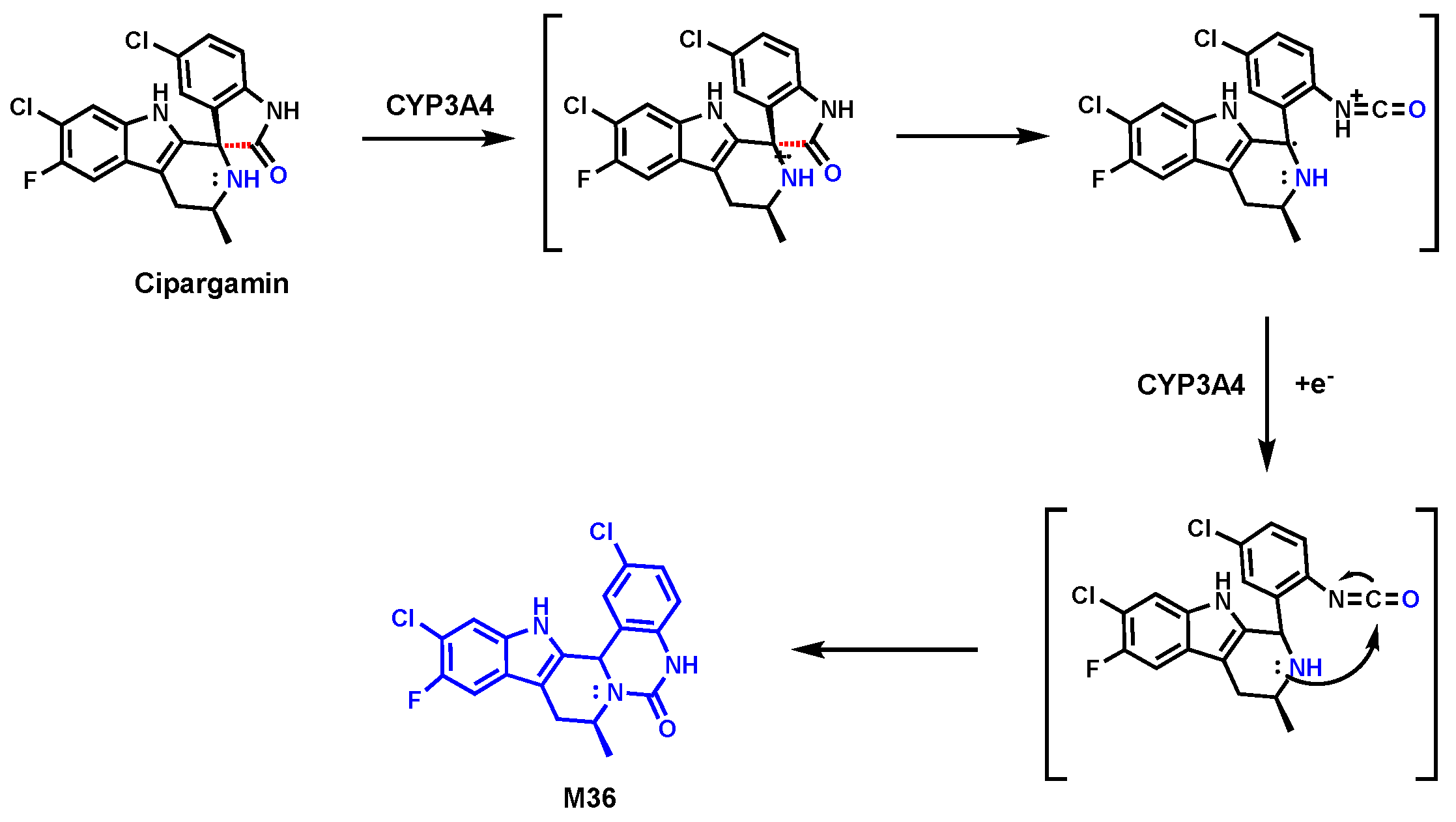 Biomolecules 14 01125 g014