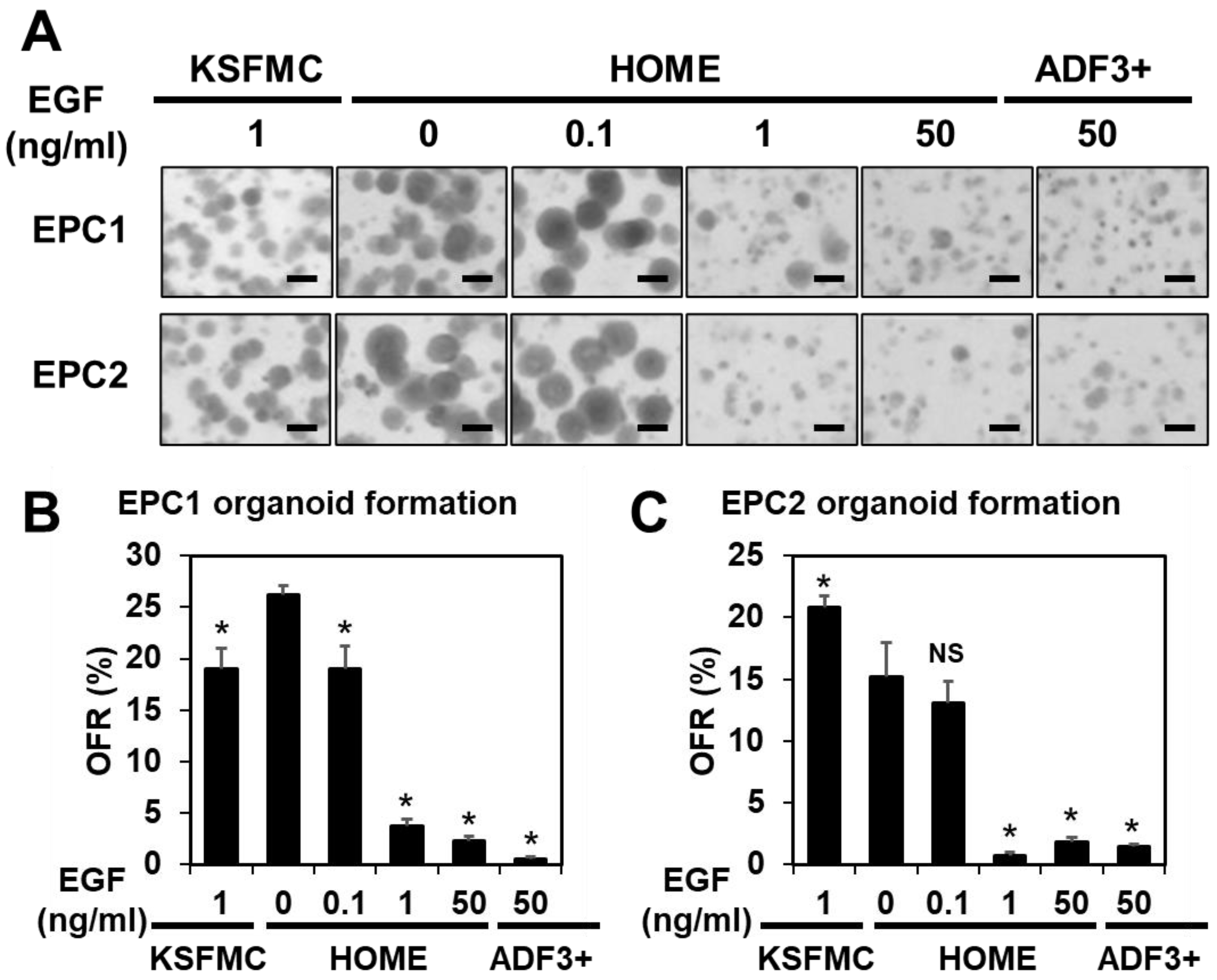 Biomolecules 14 01126 g001 Biomolecules 14 01126 g001