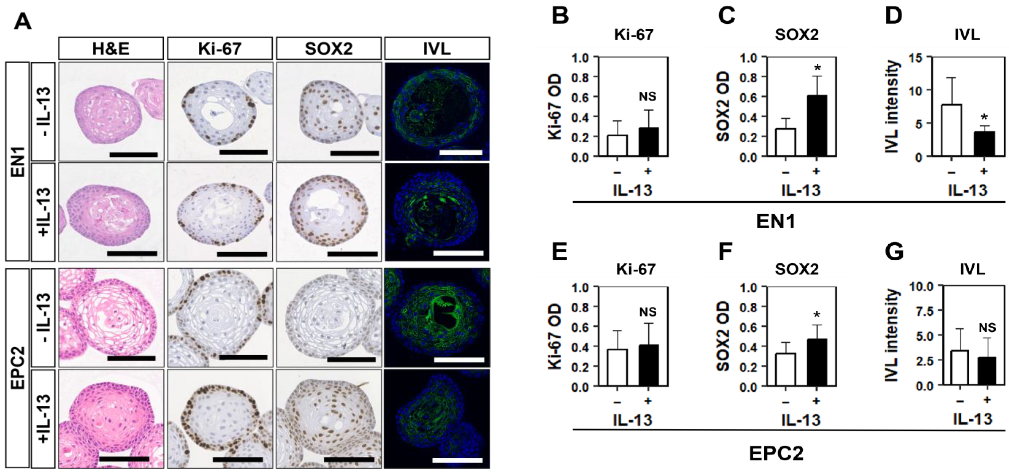 Biomolecules 14 01126 g005 Biomolecules 14 01126 g005