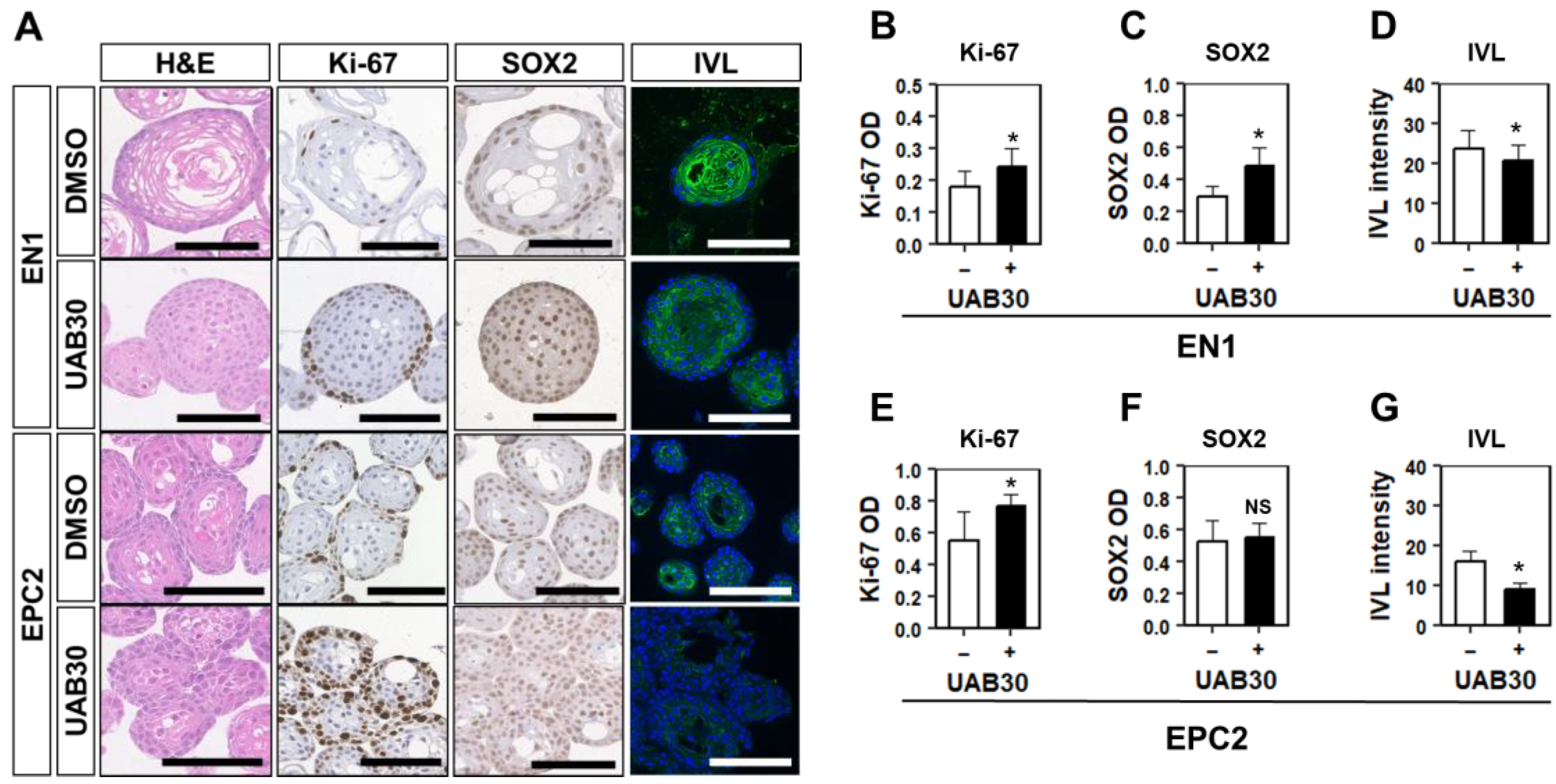 Biomolecules 14 01126 g006 Biomolecules 14 01126 g006