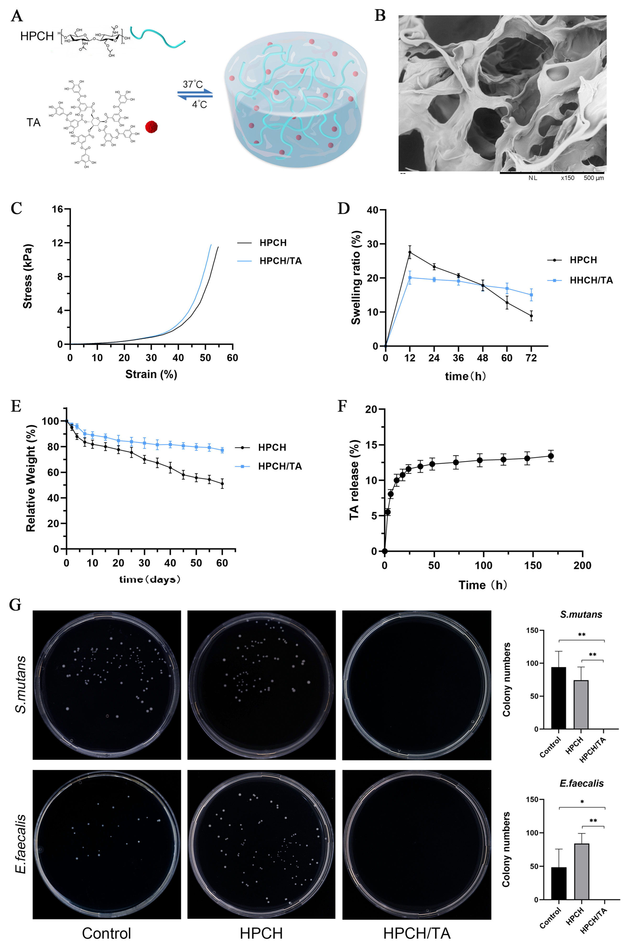 Biomolecules 14 01129 g001