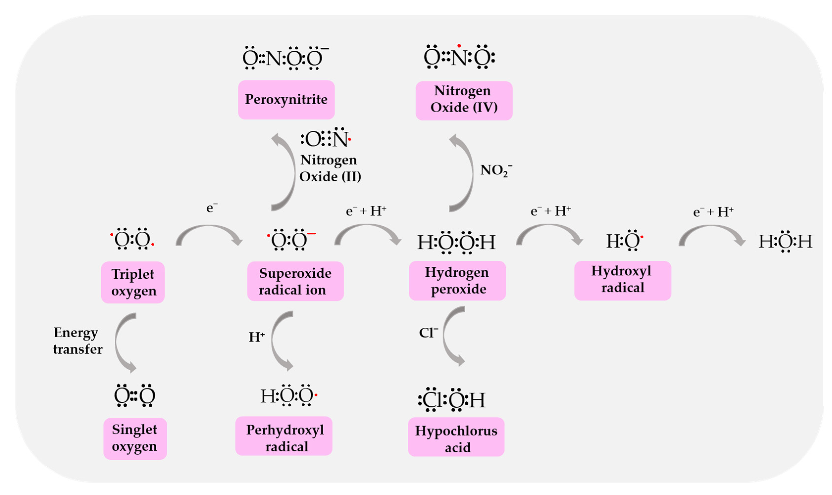Biomolecules 14 01130 g002