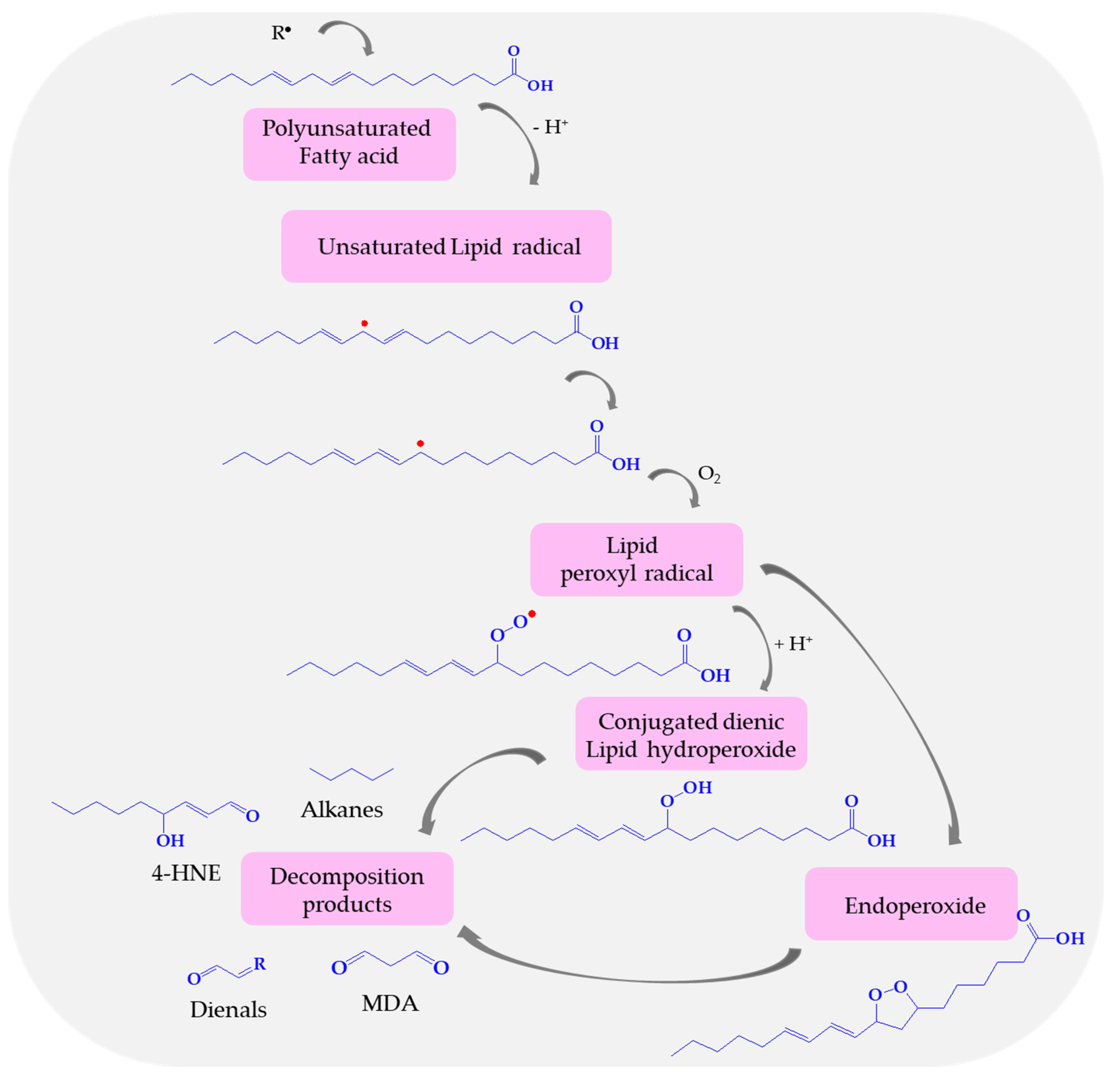 Biomolecules 14 01130 g005