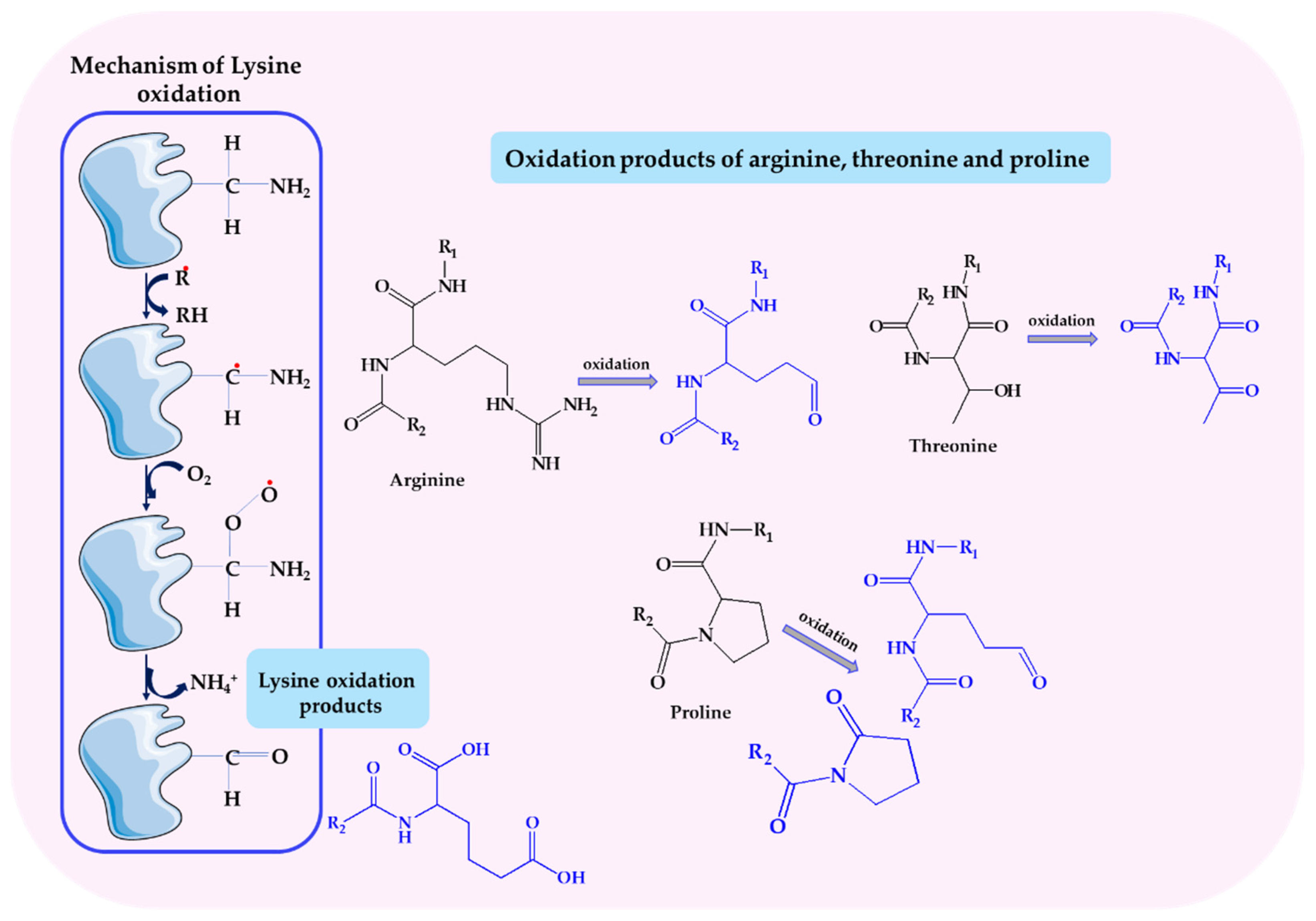 Biomolecules 14 01130 g009