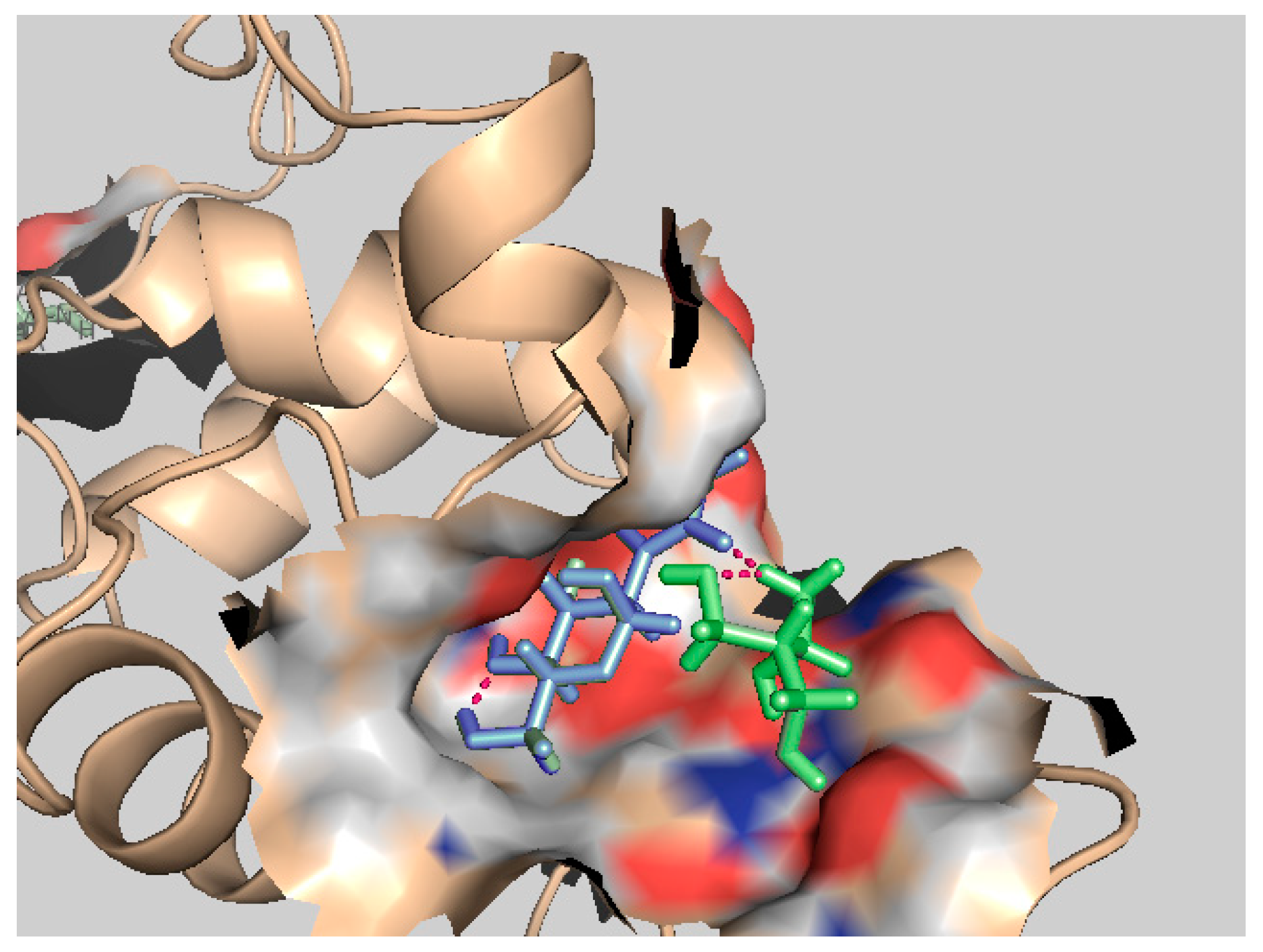 Biomolecules 14 01136 g004 Biomolecules 14 01136 g004