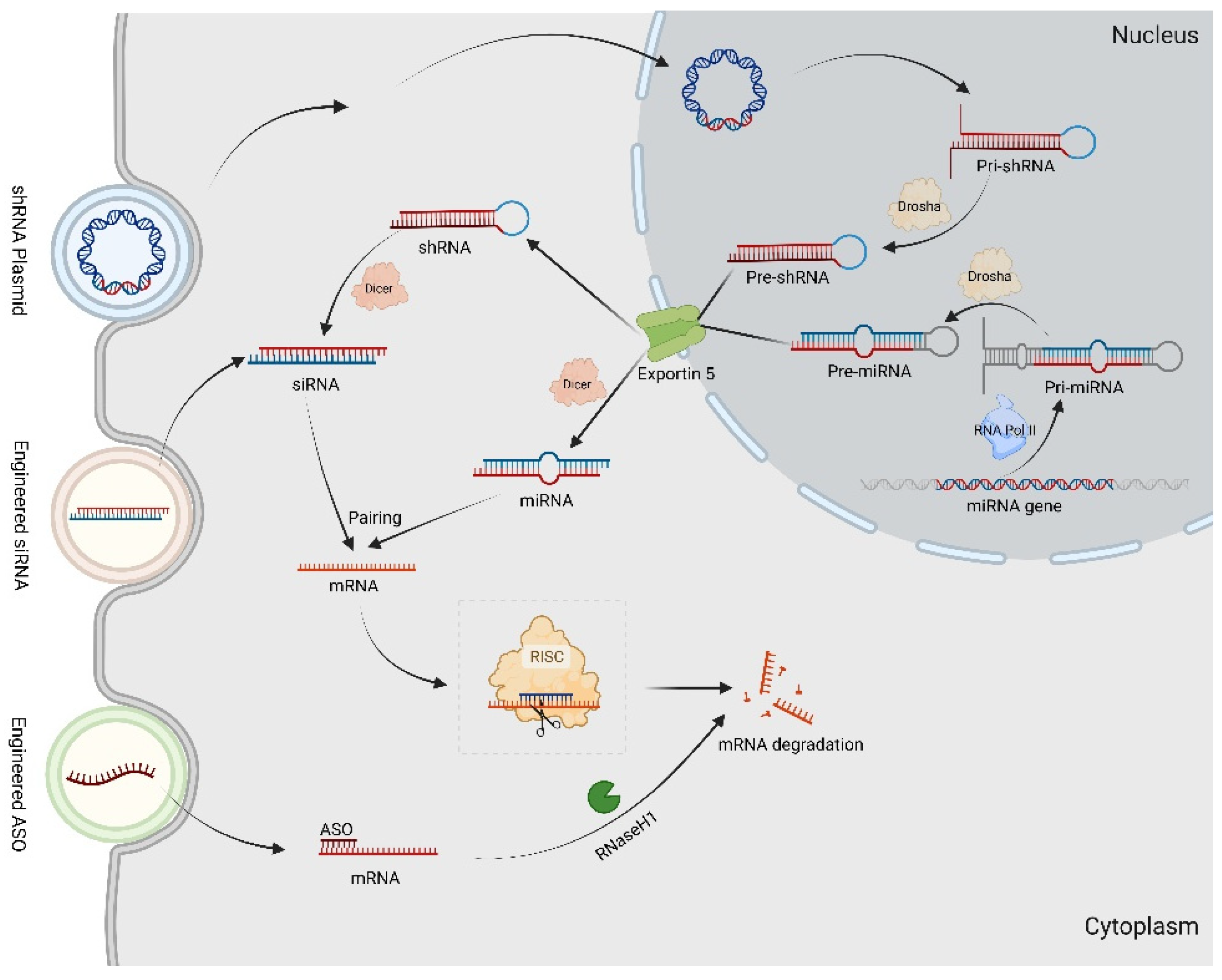 Biomolecules 14 01138 g003