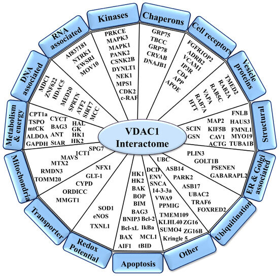 VDAC1-Based Peptides as Potential Modulators of VDAC1