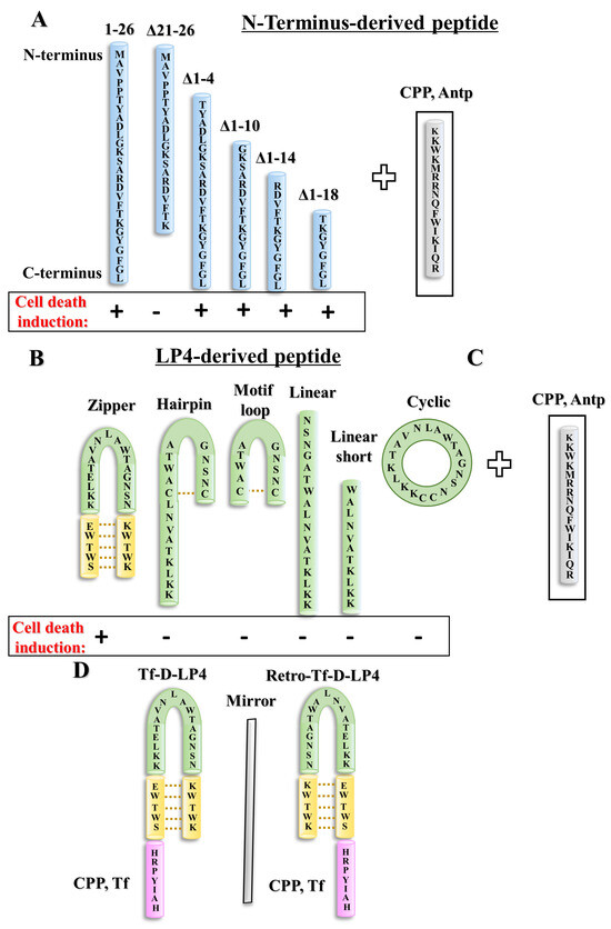 VDAC1-Based Peptides as Potential Modulators of VDAC1