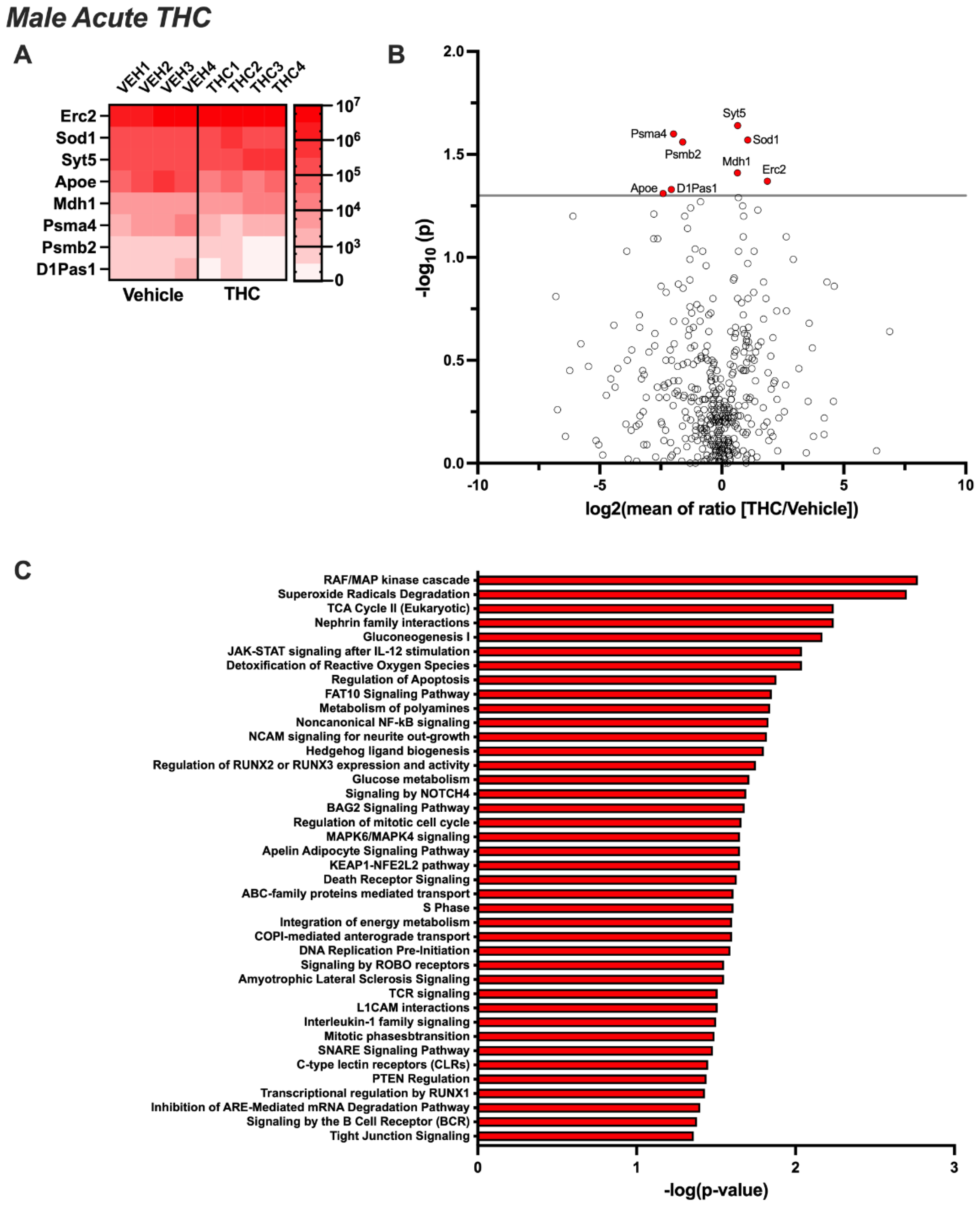 Biomolecules 14 01143 g002