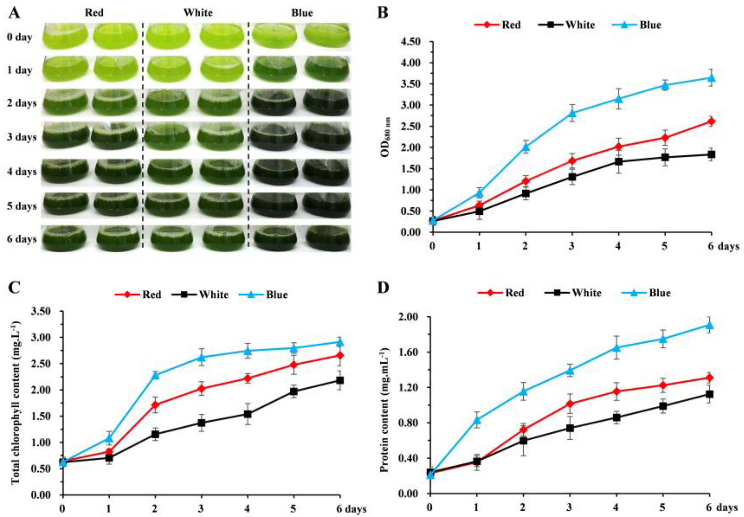 Biomolecules 14 01144 g001