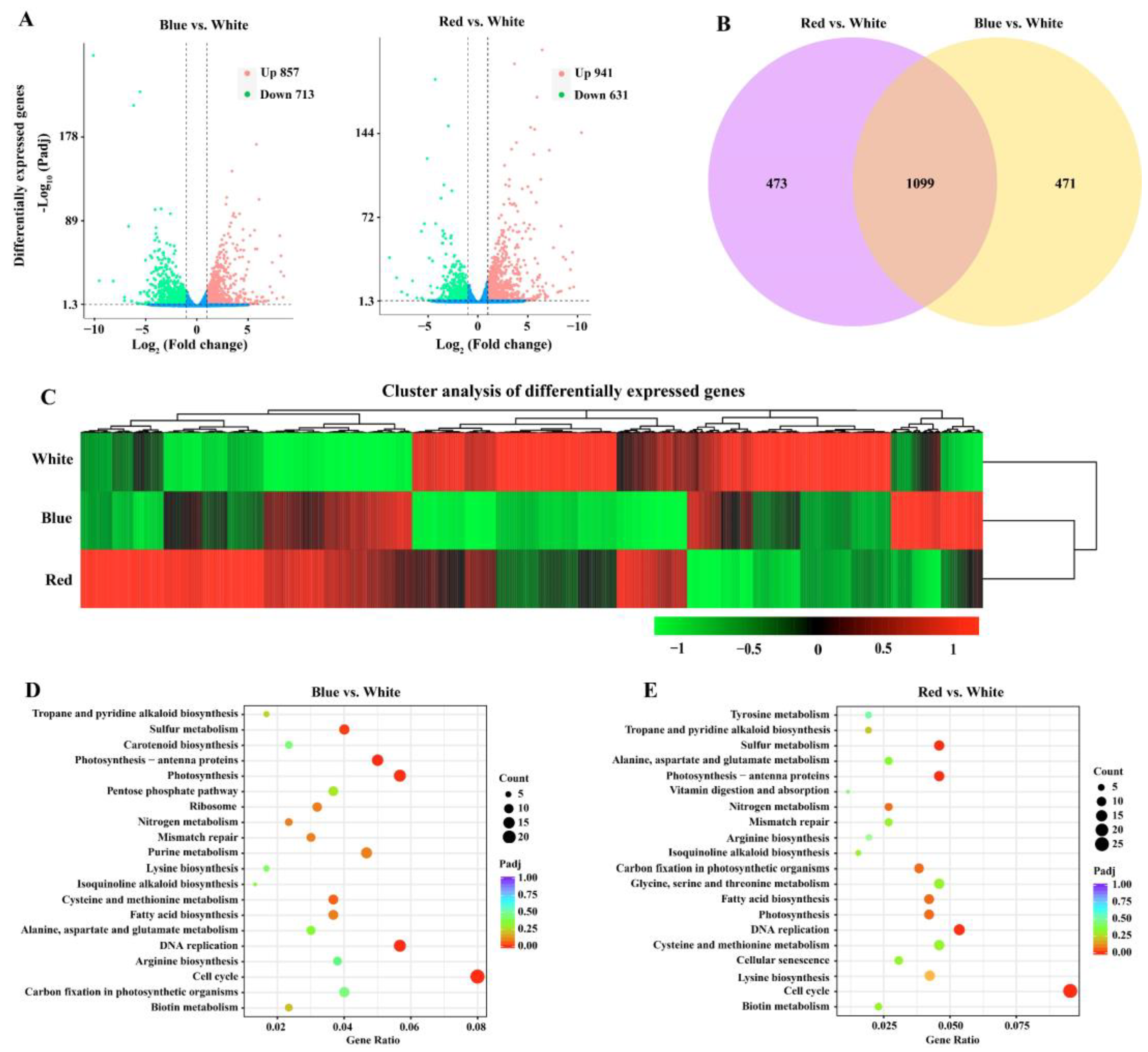 Biomolecules 14 01144 g003