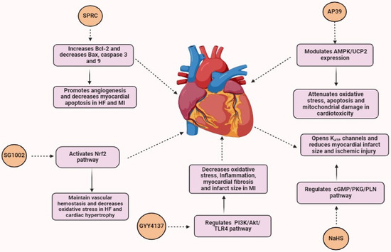 Hydrogen Sulfide: A Versatile Molecule and Therapeutic