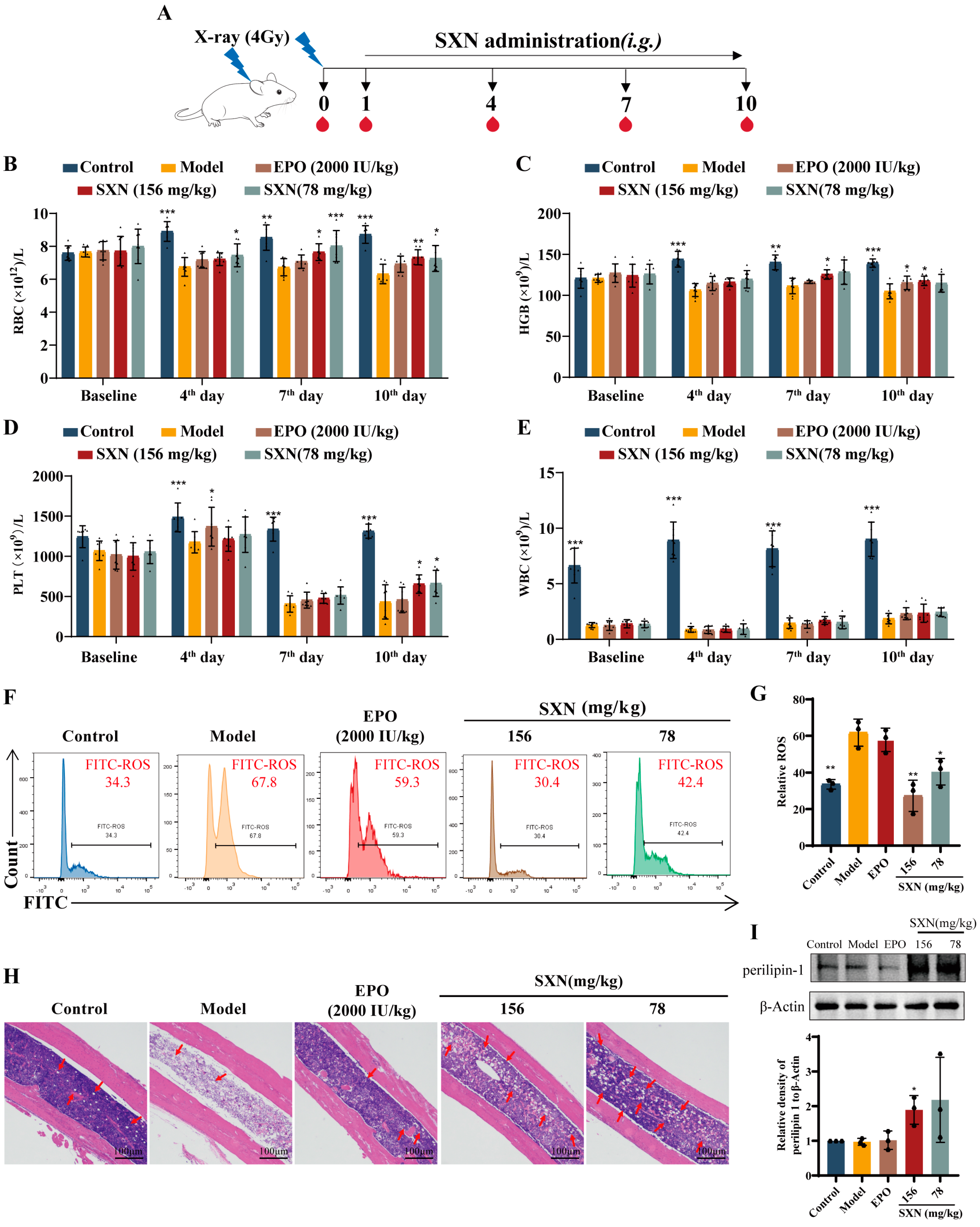 Biomolecules 14 01147 g001 Biomolecules 14 01147 g001