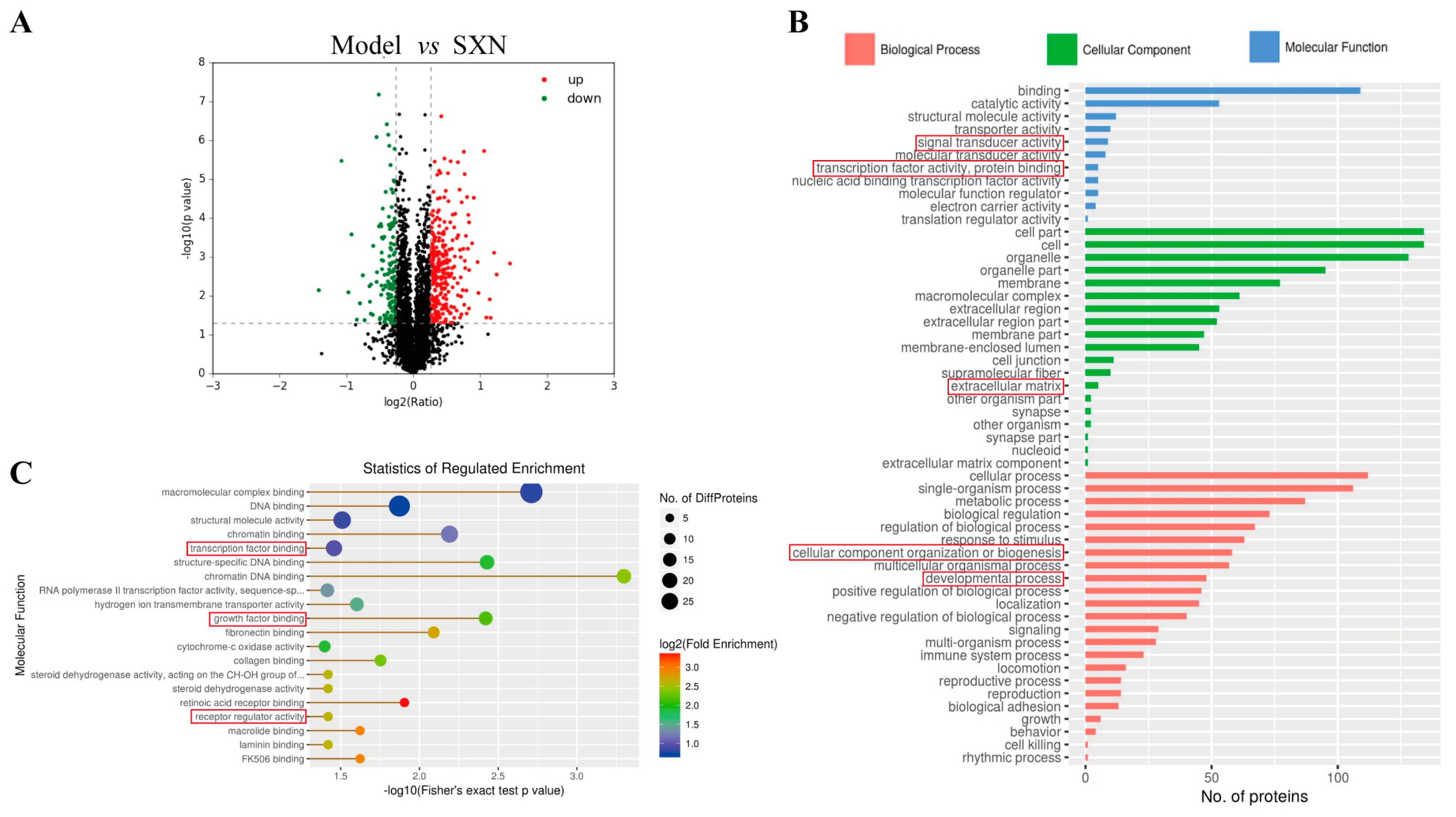 Biomolecules 14 01147 g004 Biomolecules 14 01147 g004