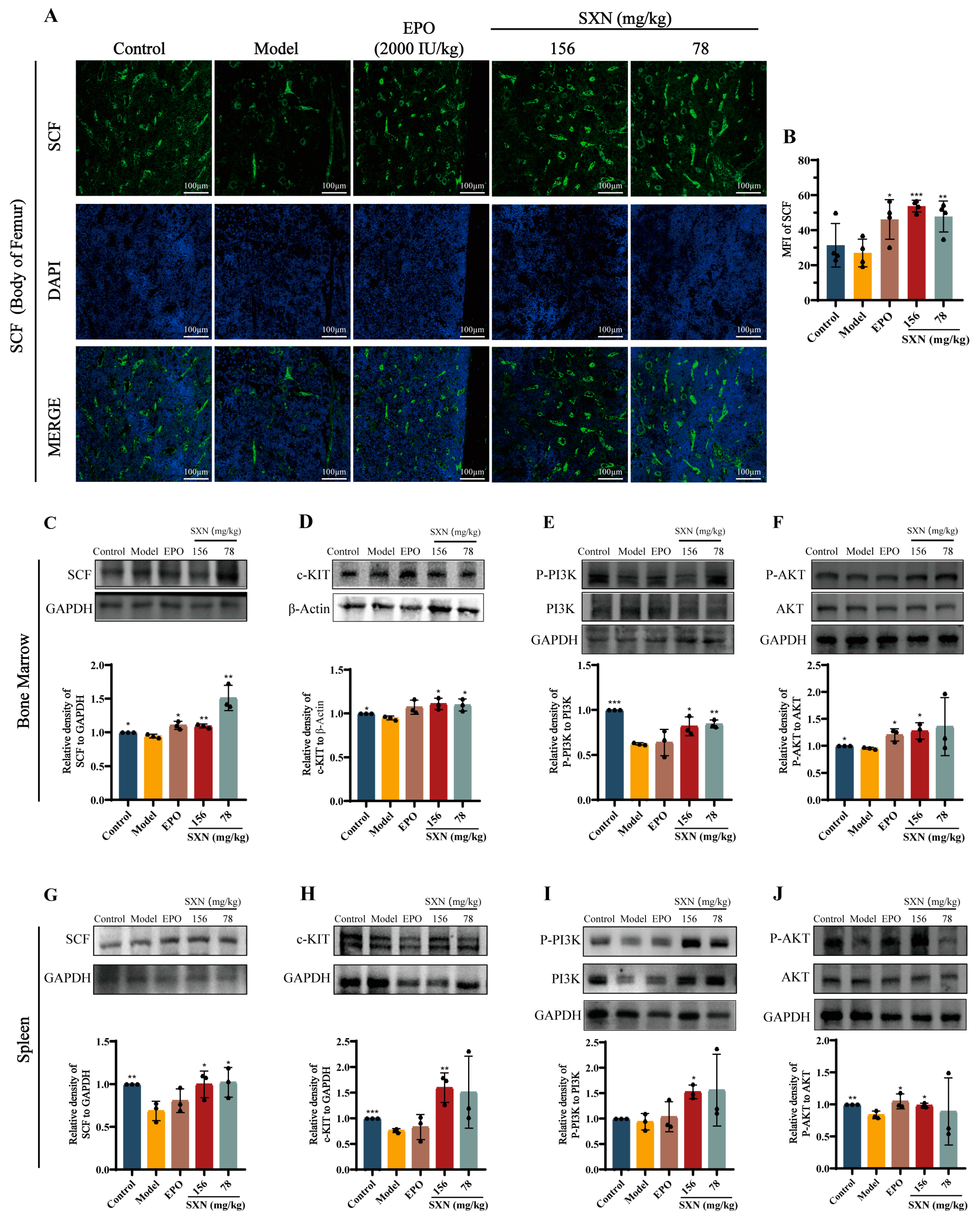 Biomolecules 14 01147 g005 Biomolecules 14 01147 g005