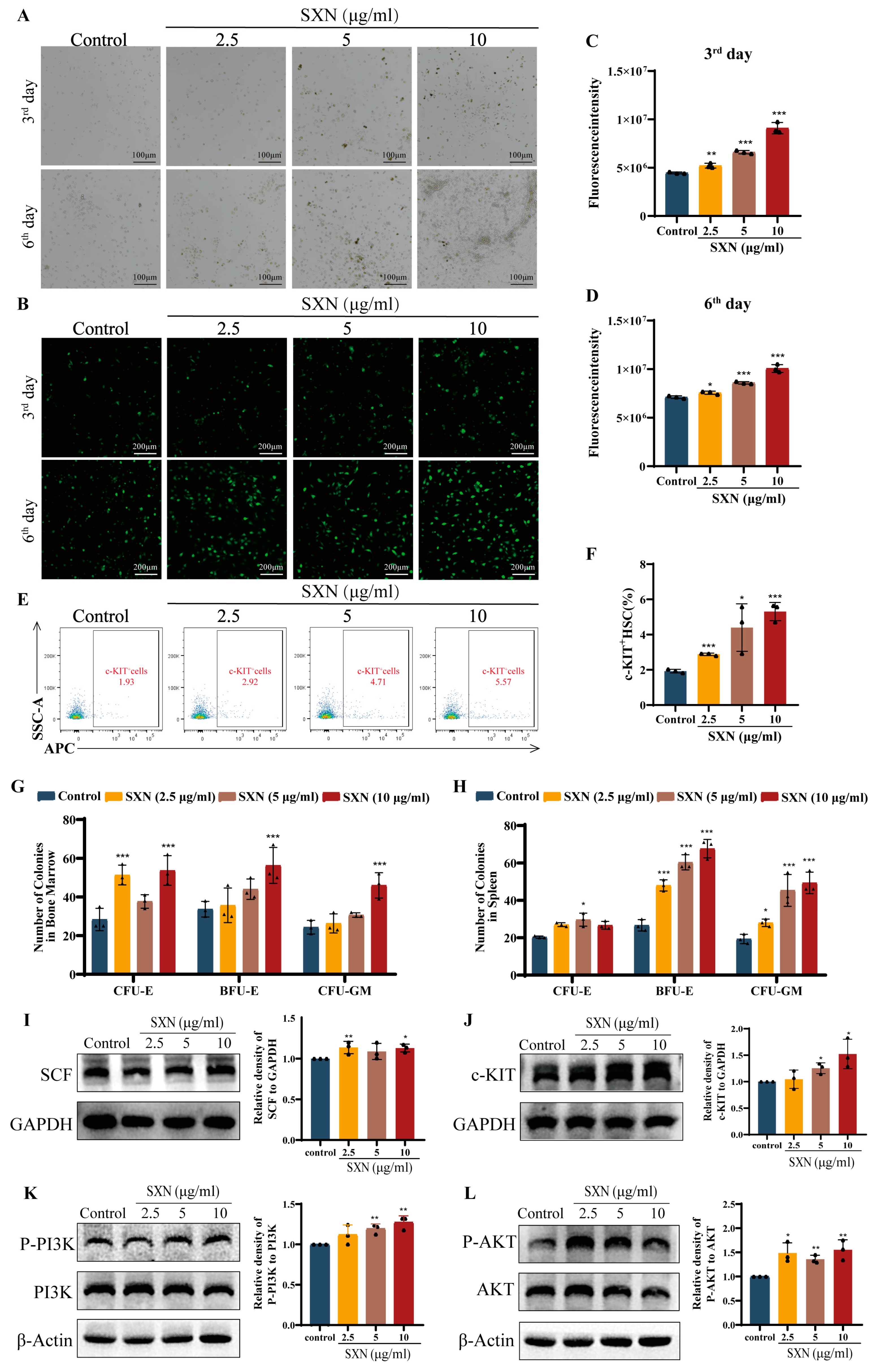 Biomolecules 14 01147 g006 Biomolecules 14 01147 g006