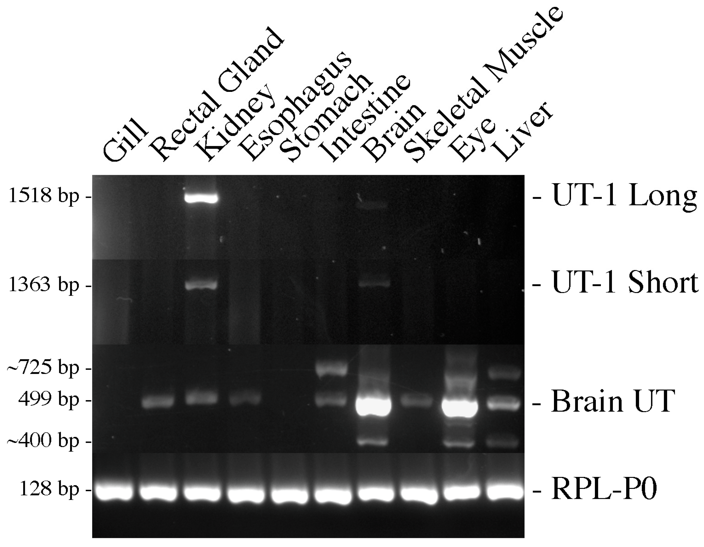 Biomolecules 14 01151 g002
