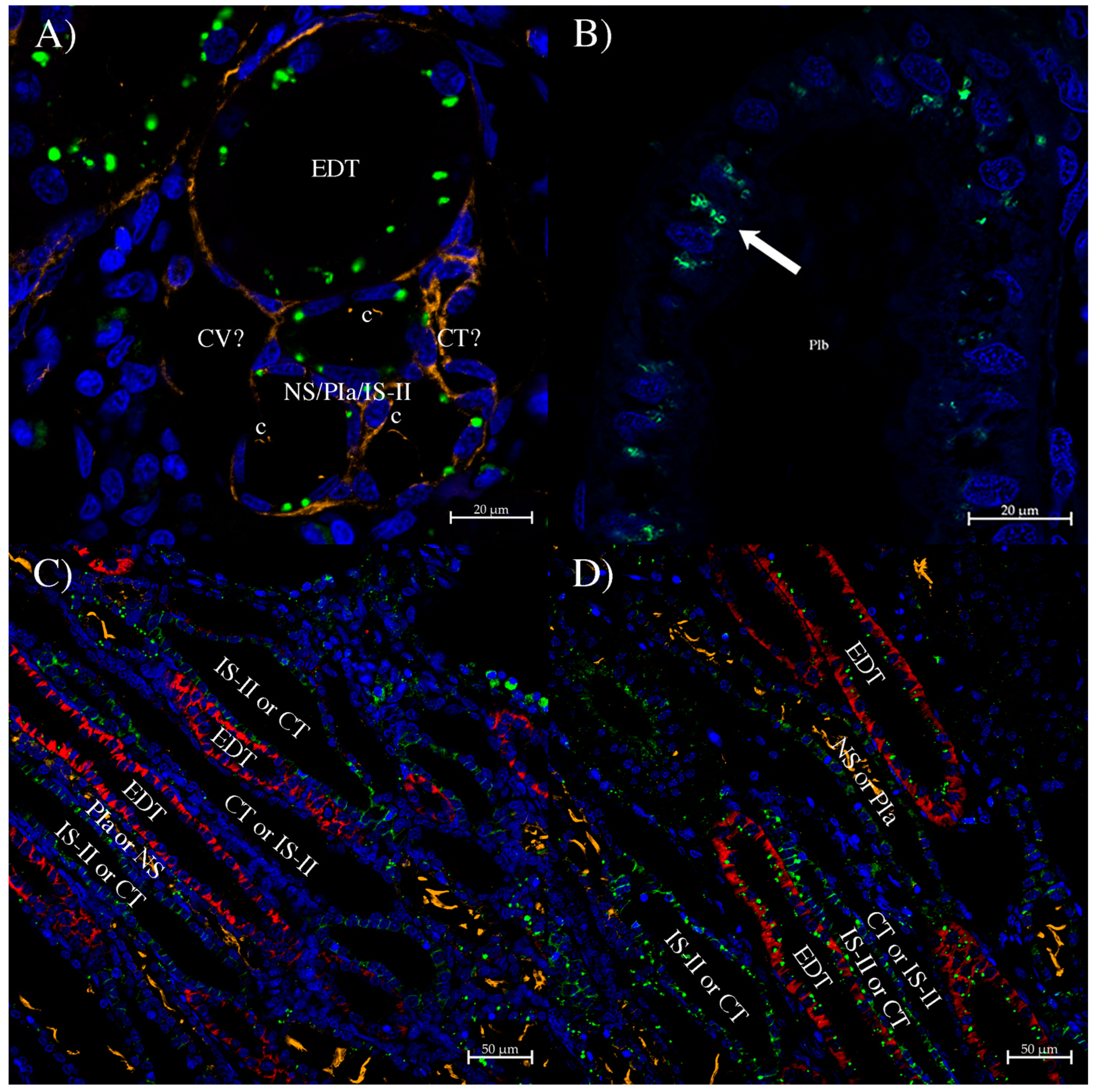 Biomolecules 14 01151 g005