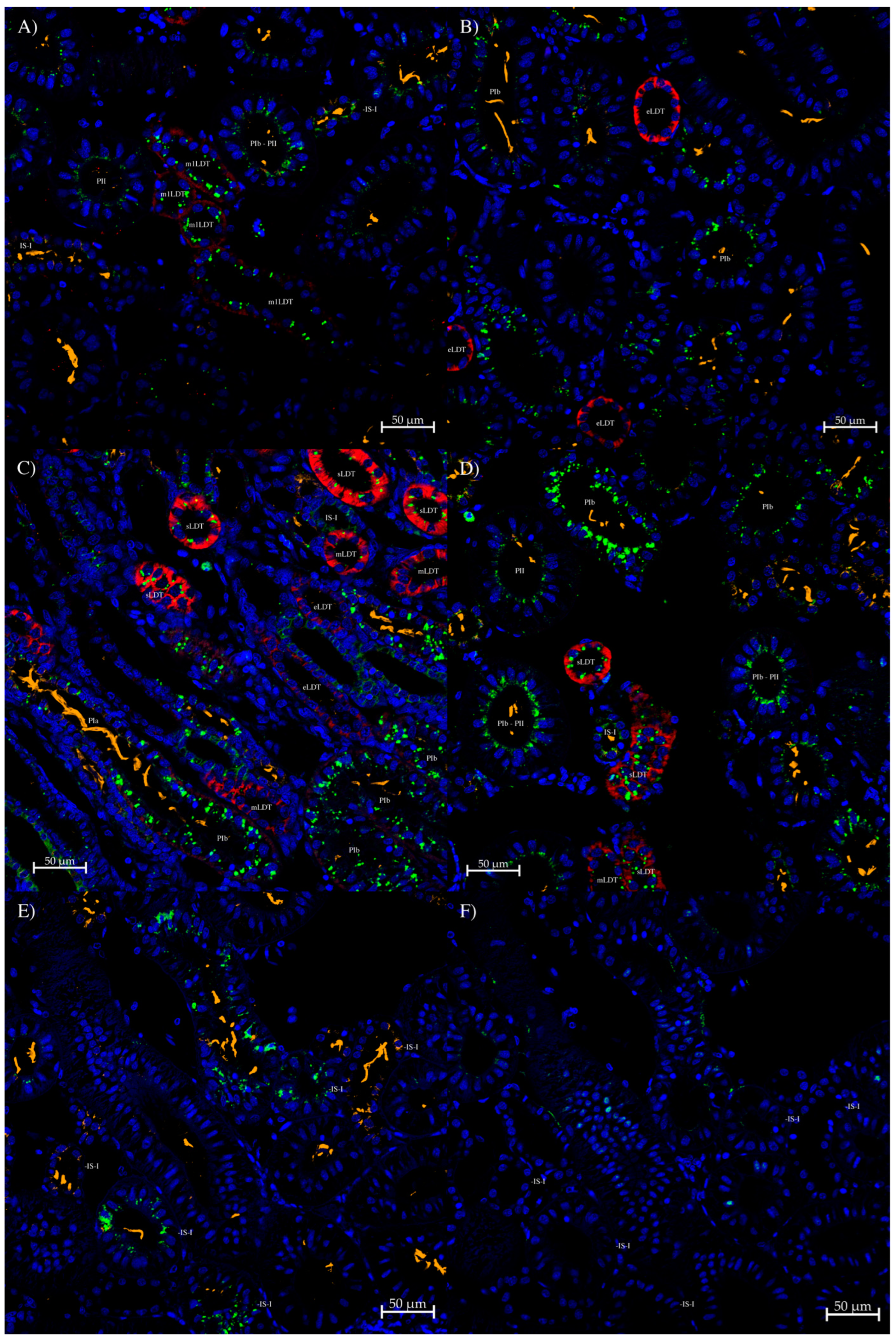 Biomolecules 14 01151 g006