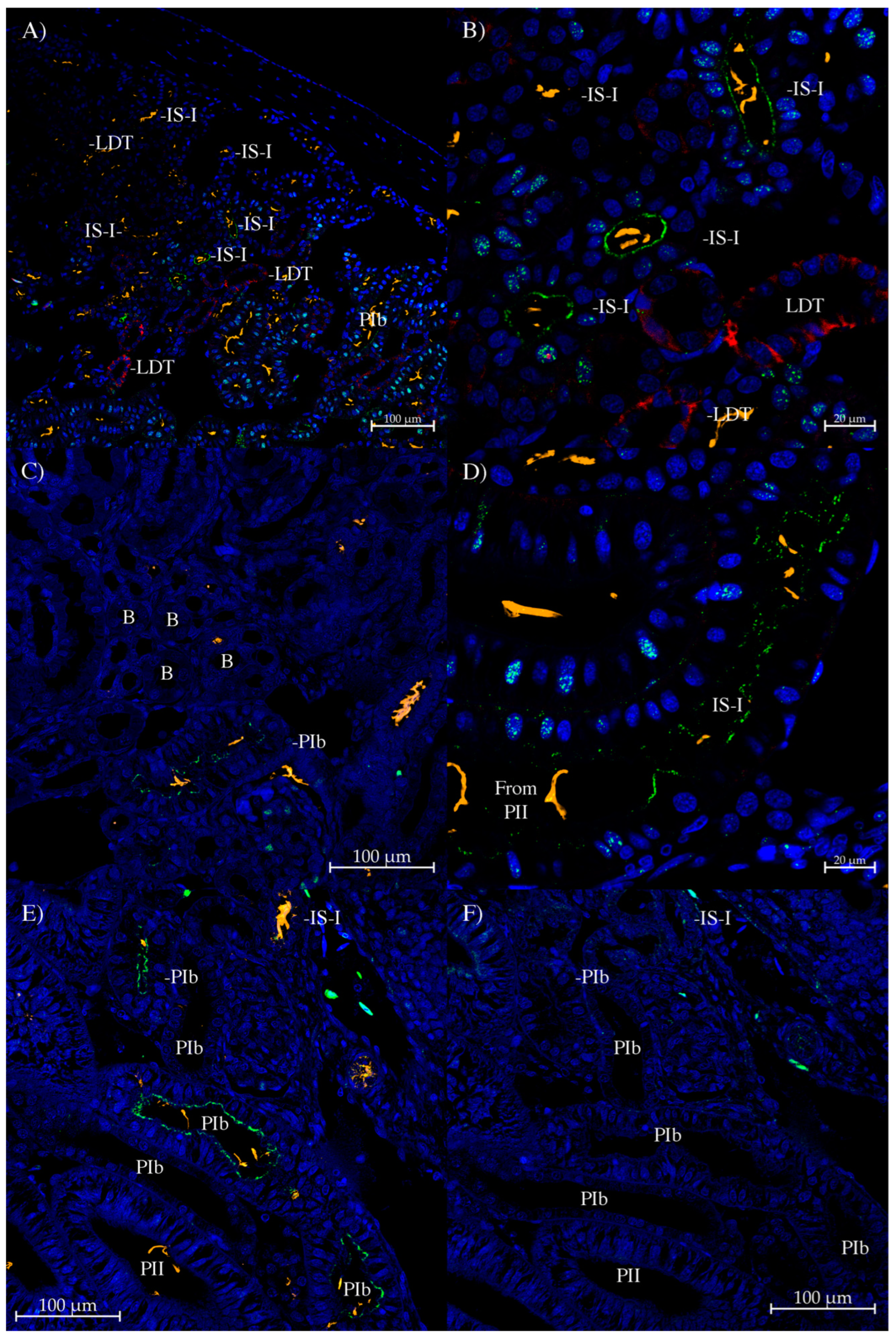 Biomolecules 14 01151 g007
