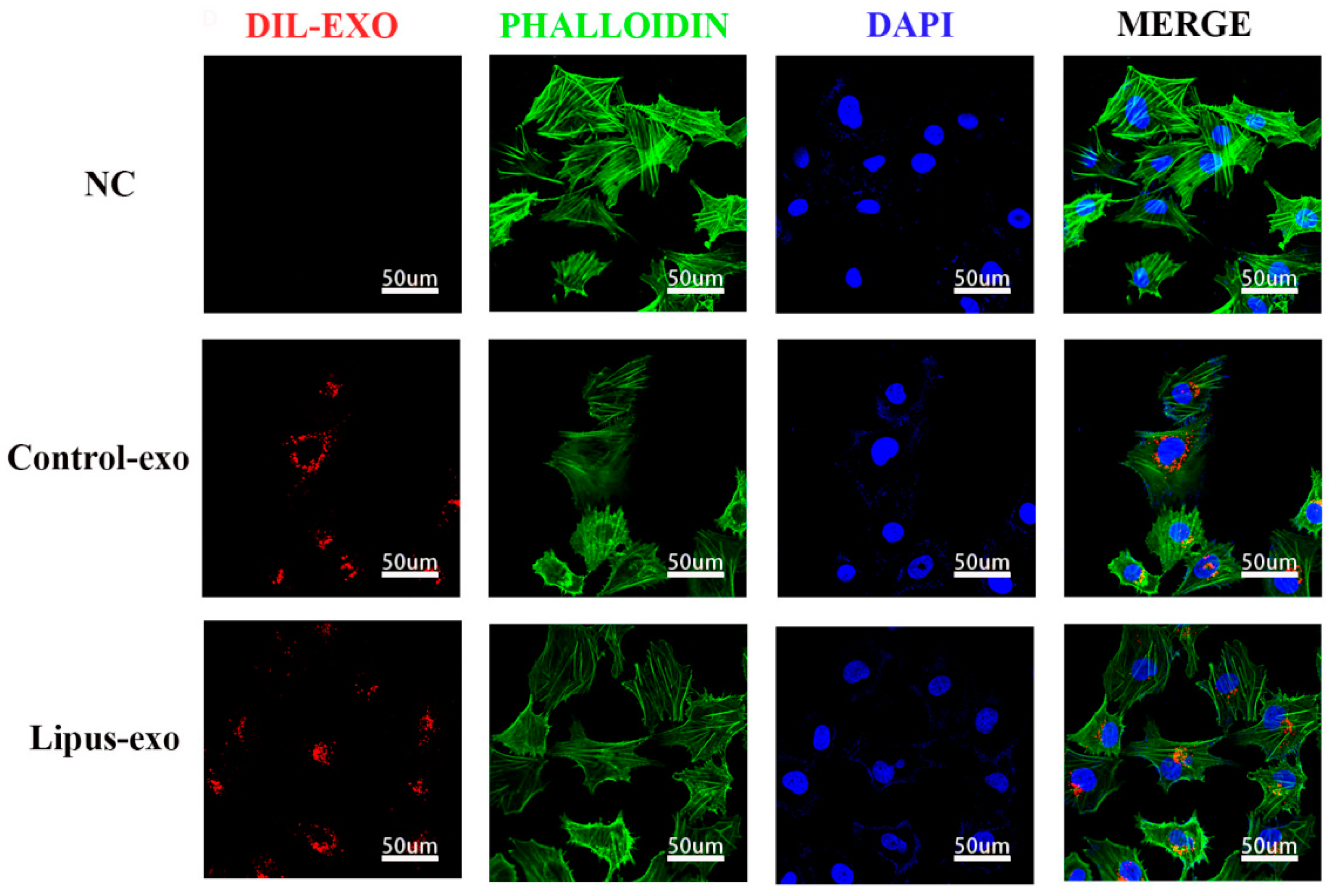 Biomolecules 14 01154 g002
